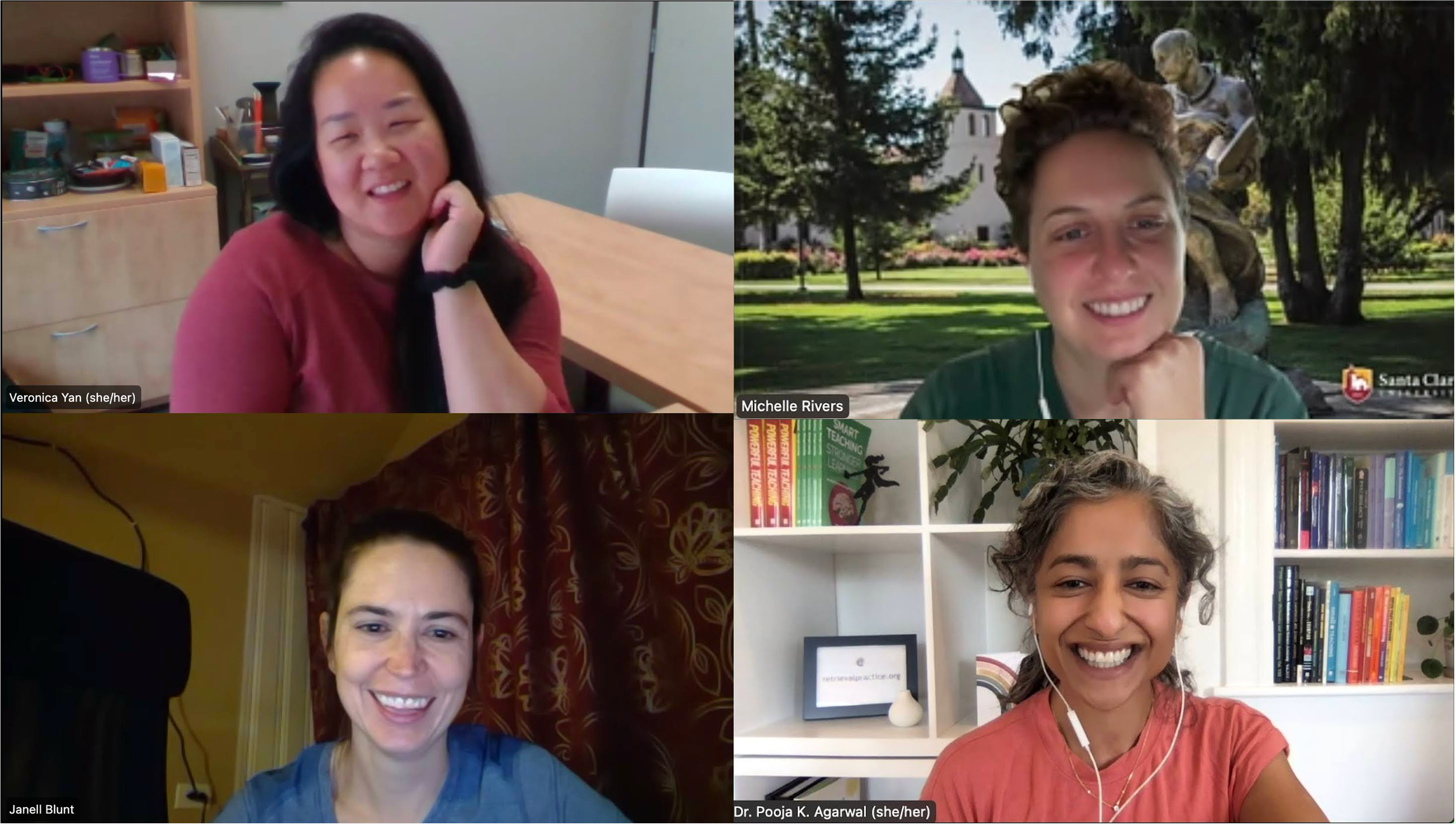 Zoom screenshot of four cognitive scientists