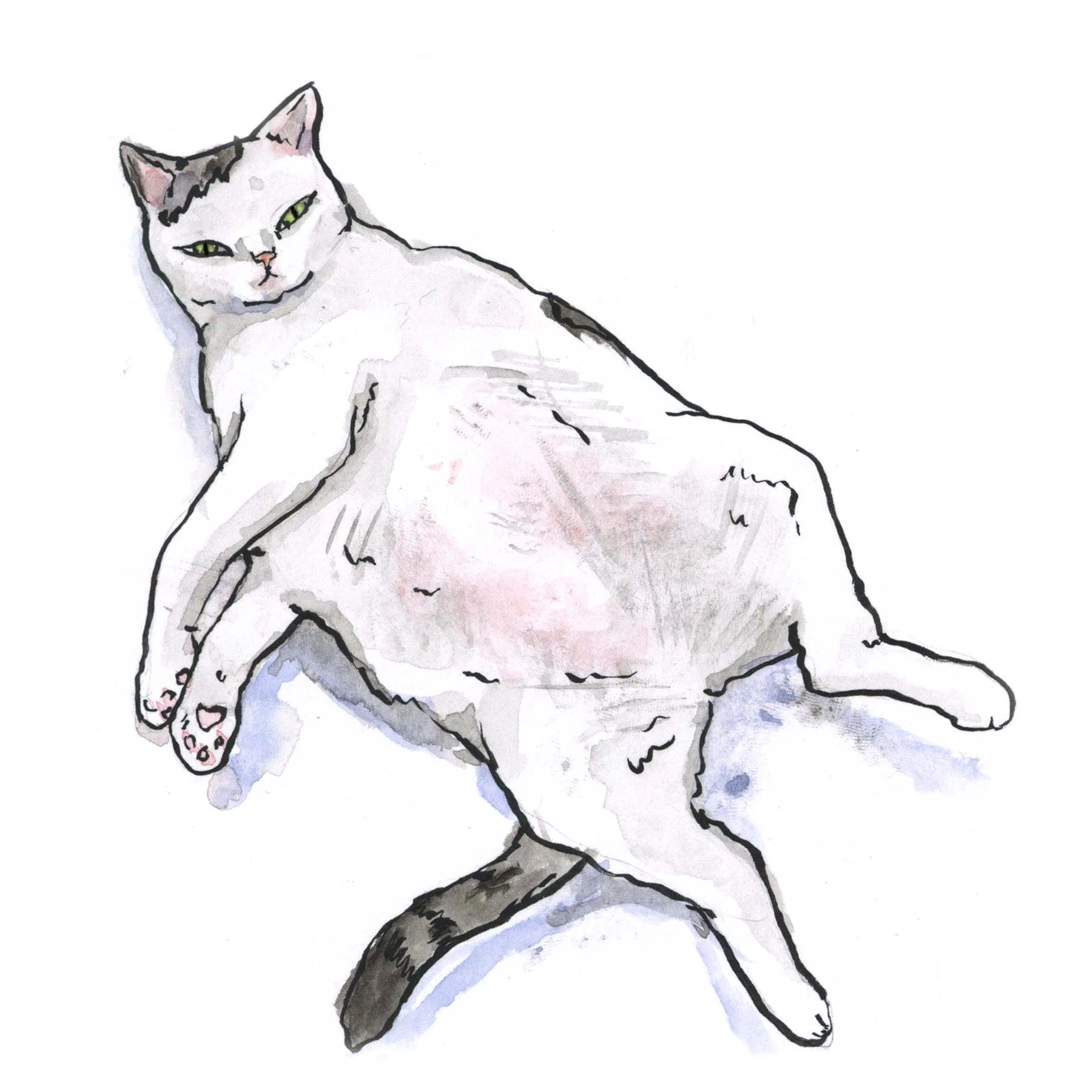 Moo