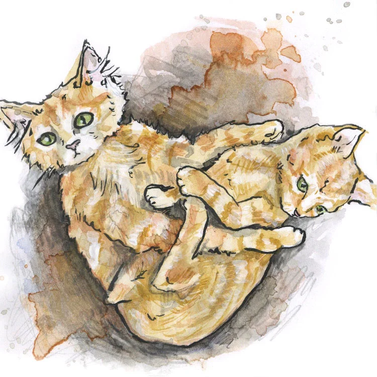 Pheonix & Fatty