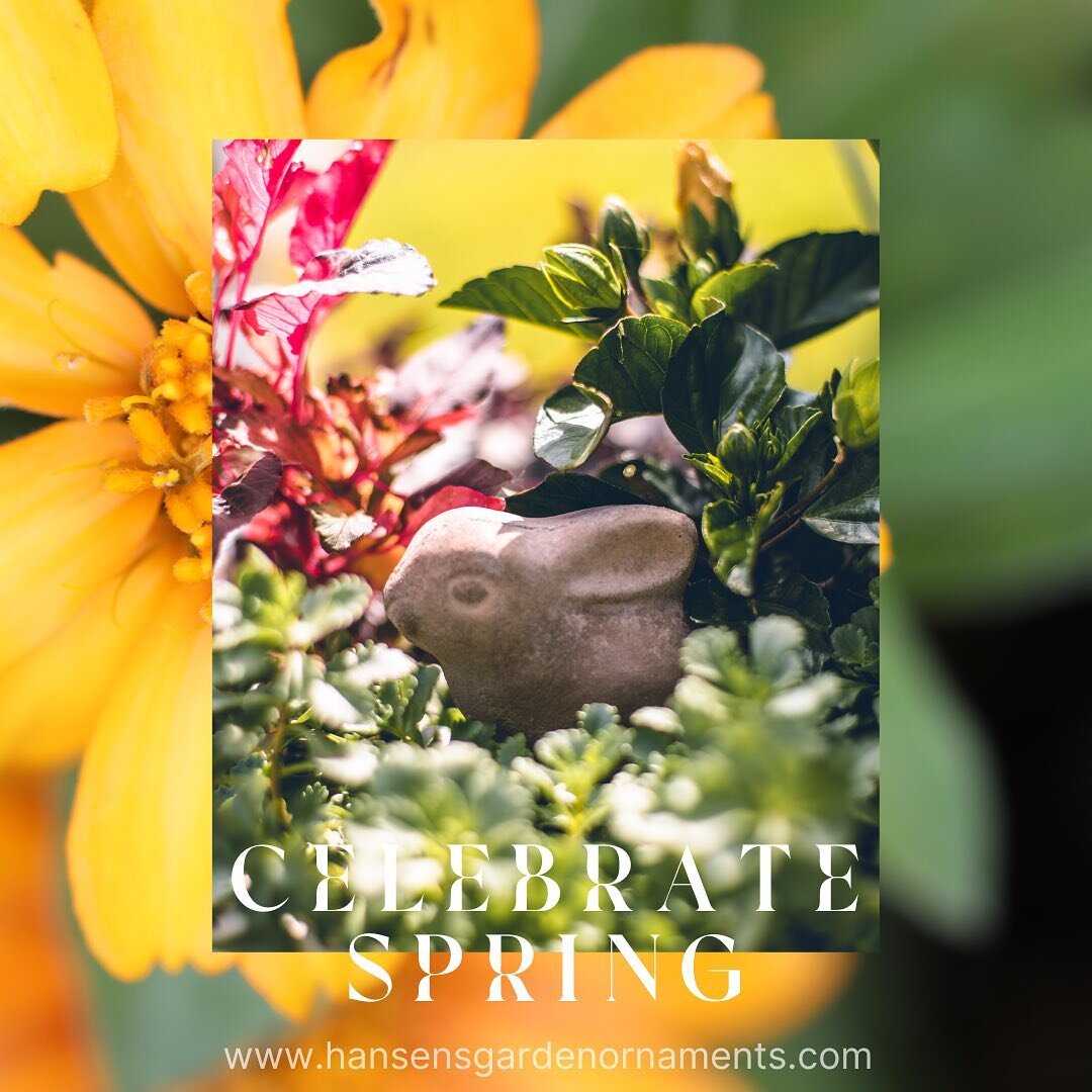 The warmer weather brings an air of celebration - Spring is here!

With Easter this Sunday, along with Passover and Ramadan that will continue to be observed in the weeks ahead, we eagerly await this time of transition to warmer days and spring bloom