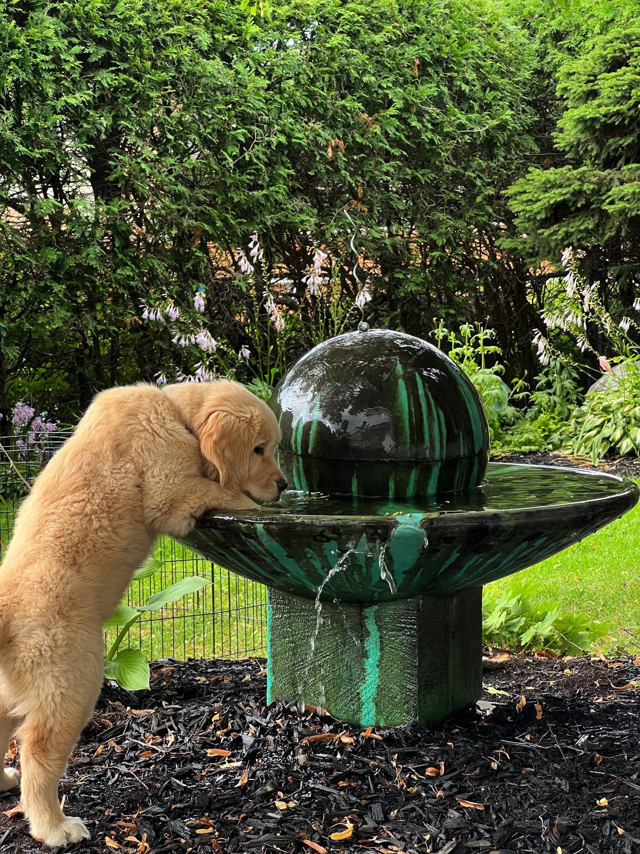 Image 2022-08-02 at 8.41 AM.JPG