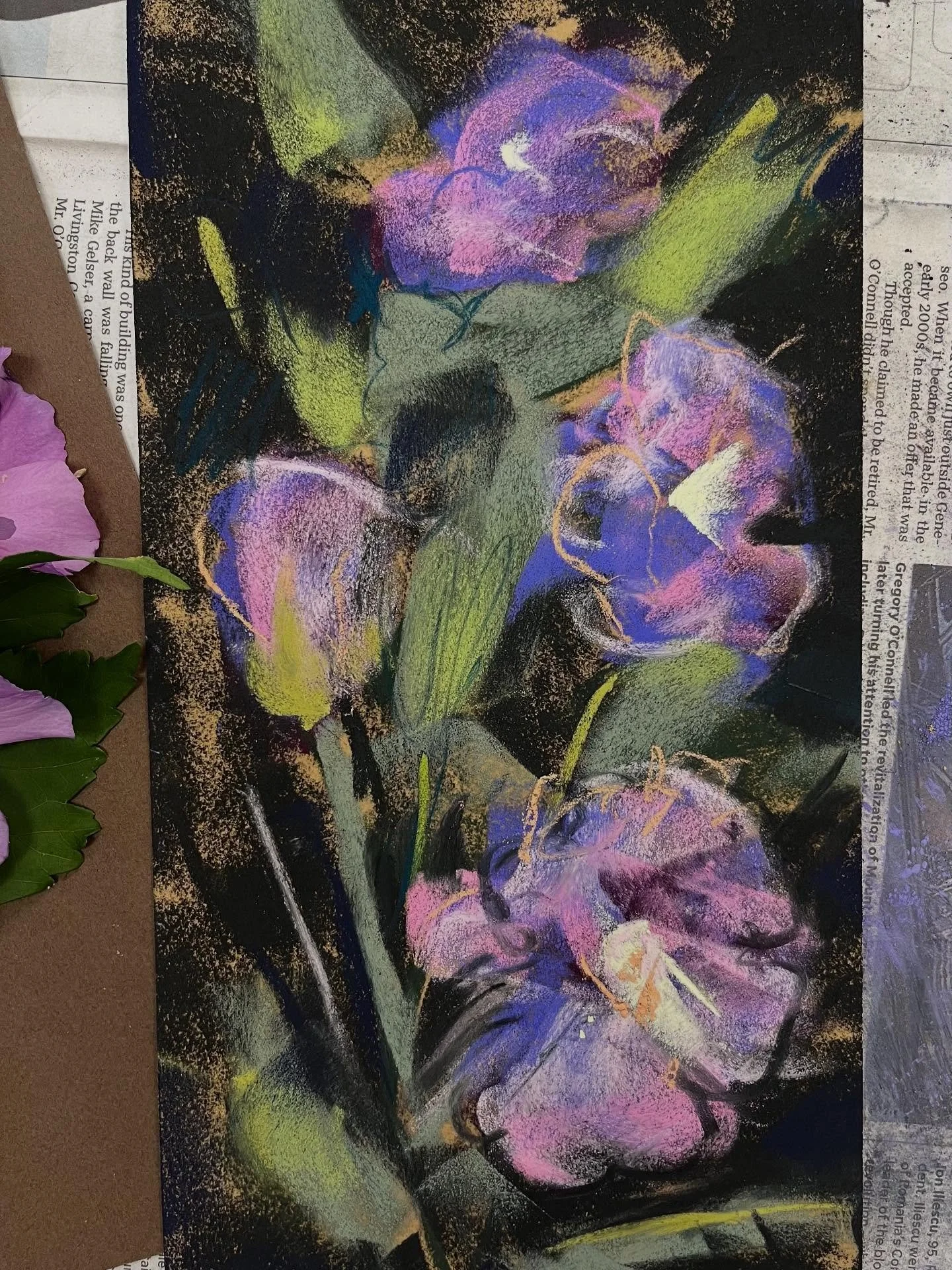 Day 21 #stradaeasel and another look at  #roseofsharon blossoms before they&rsquo;re gone. Pastel  6x12.