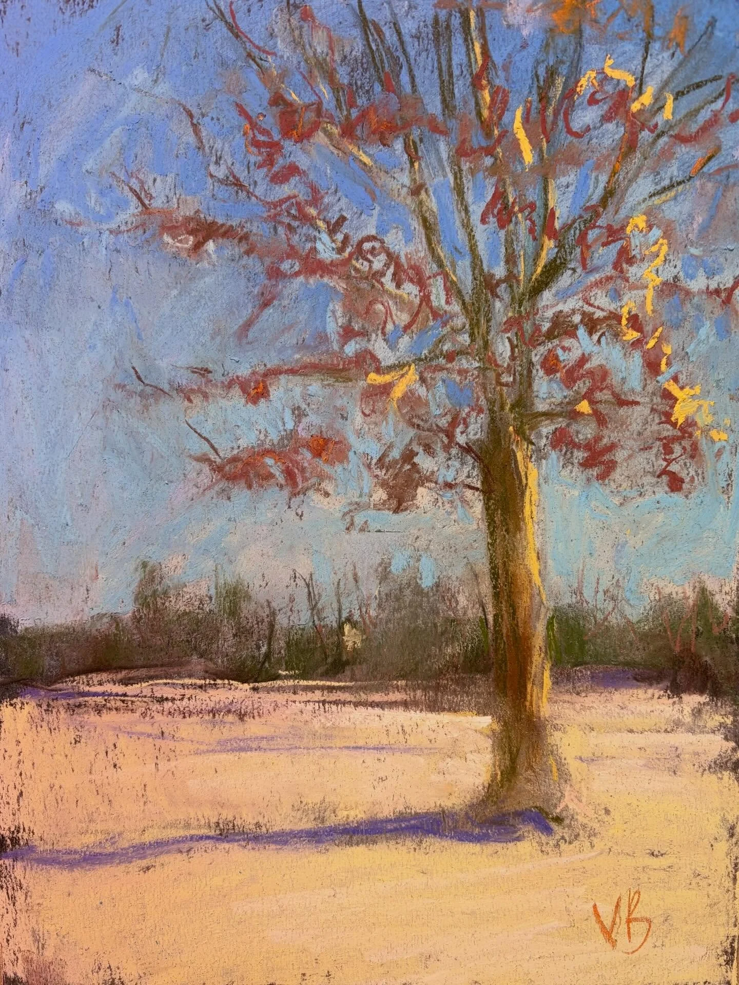 Day 1 #stradaeasel and I painted this 9 x12 pastel on Mi Tientes paper. Plein air at 17 degrees at a Penfield Park &mdash; fortunately I was dressed for the weather, painted in shorthand, and stayed warm. #pleinairpainting #pastelpainting #stradaease
