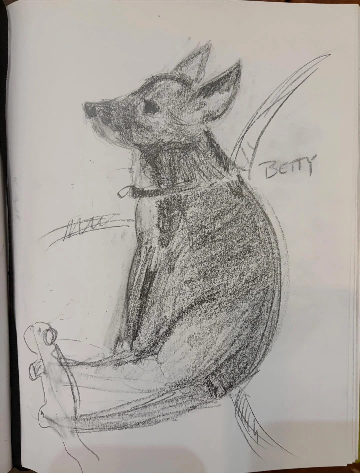Day 23 #stradaeasel and inspired by a @jamesgurneyart blog on drawing chickens I thought I would try drawing  my restless dogs, Betty and Zeke. There were several attempts and I kept trying to circle around to drawing a pose as they came back to that