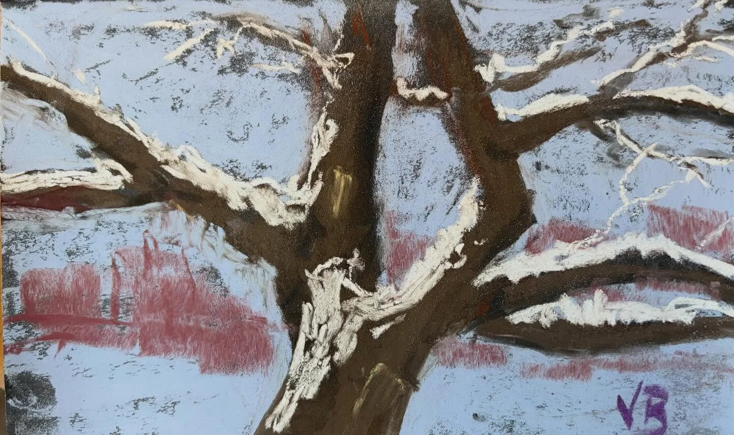 Day 26 #stradaeasel and I sketched two tree studies in pastel (5.5x9 each) on 400 grit sandpaper. These are both the view from my dining room. #graysky