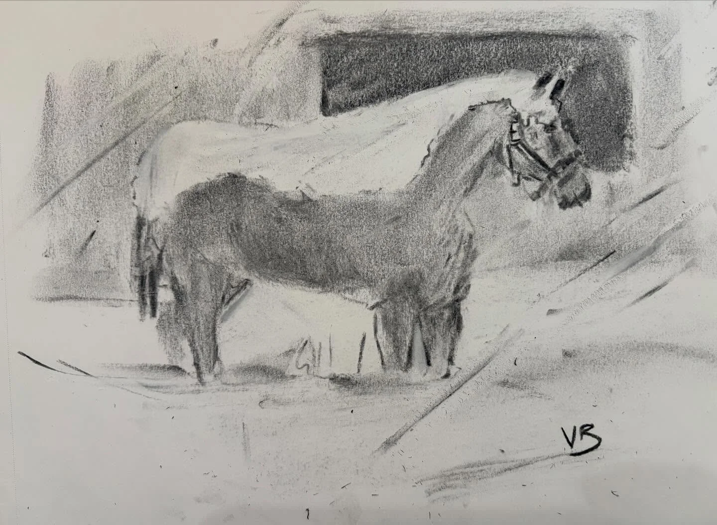 Day 29 #stradaeasel and please don&rsquo;t worry.  This sketch is of a statue covered with snow, not a living horse. It did stand still which was a plus. From the driver seat at the barn.  charcoal.