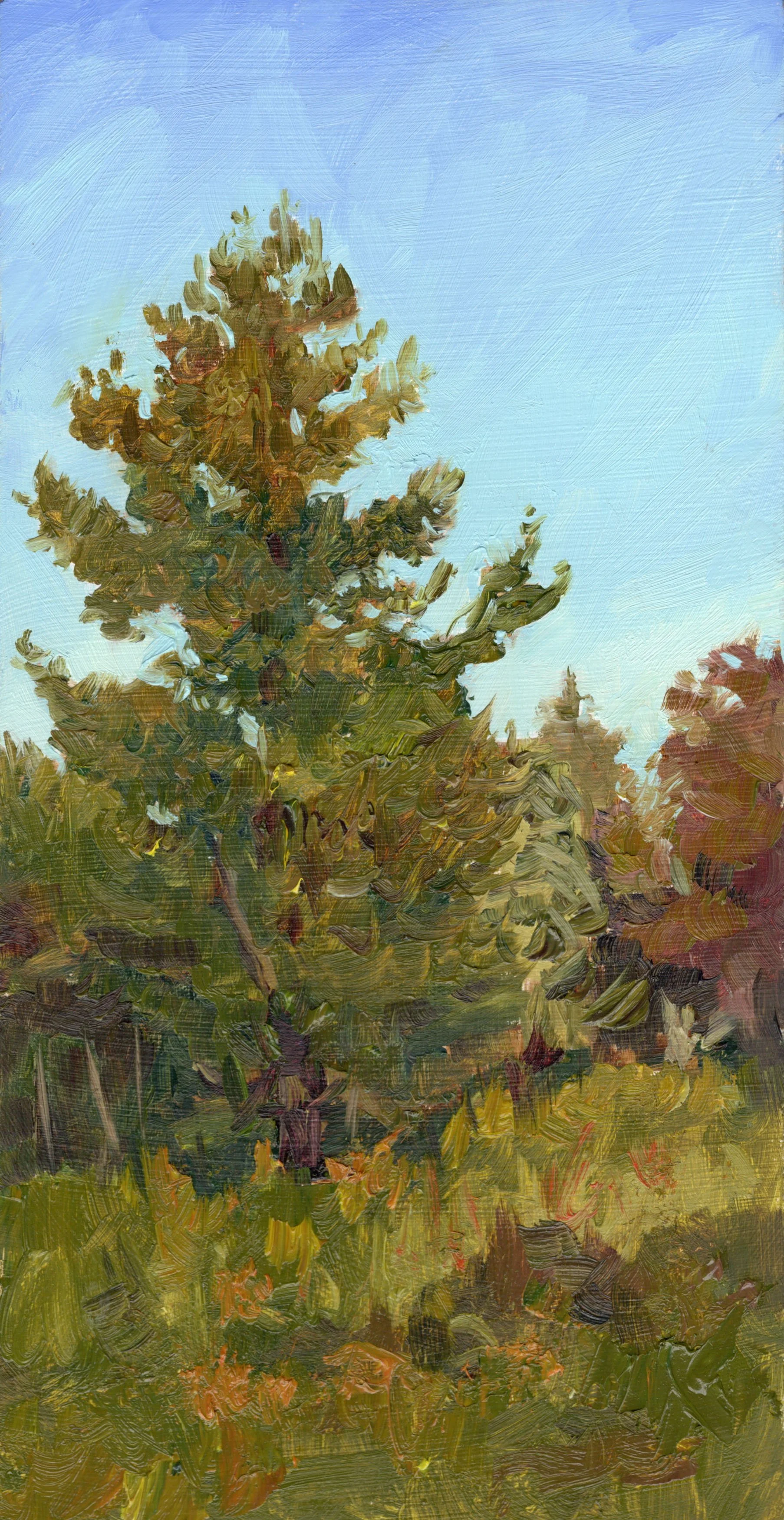 Tree – Field's Edge.jpg