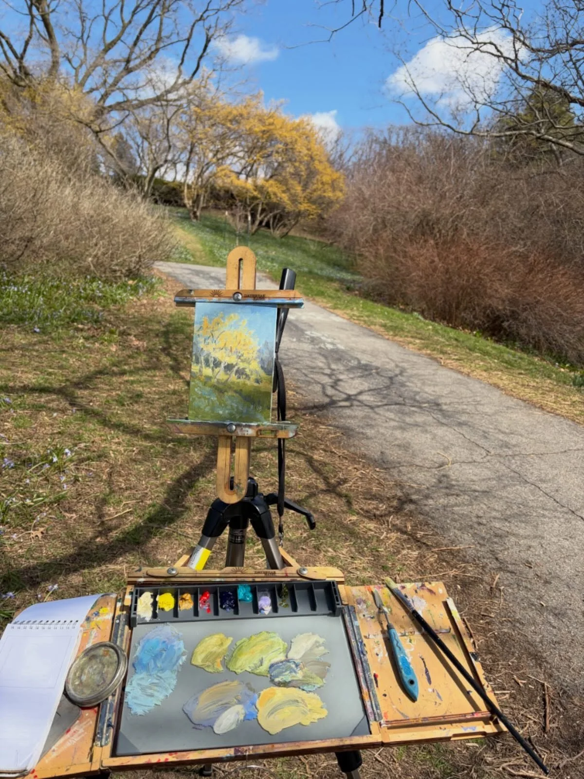 I went out painting this morning at Highland Park  despite the low temperatures and chilly breeze. I painted small ( 5x7 oil on panel) and lasted an hour before I baled. Thanks @colettesavage.artist  for meeting up with me! I am looking forward to th