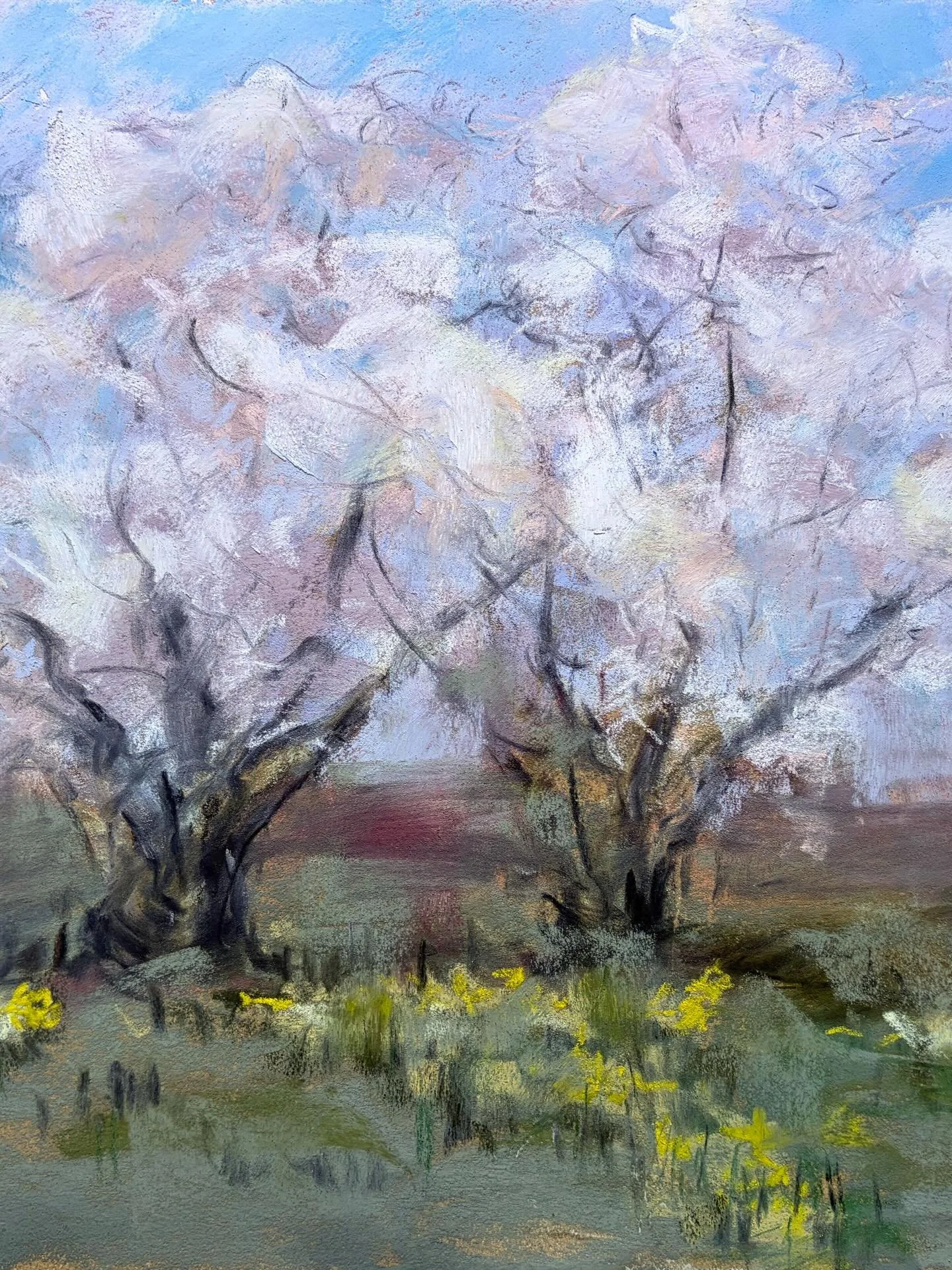 A beautiful morning painting at #durandeastmanarboretum  with @rocpleinair  The breeze was strong but the temperature was warm and comfortable for outdoor painting.  This is my 16x12 pastel  and a photo of the view. Everything felt so fragile and tra