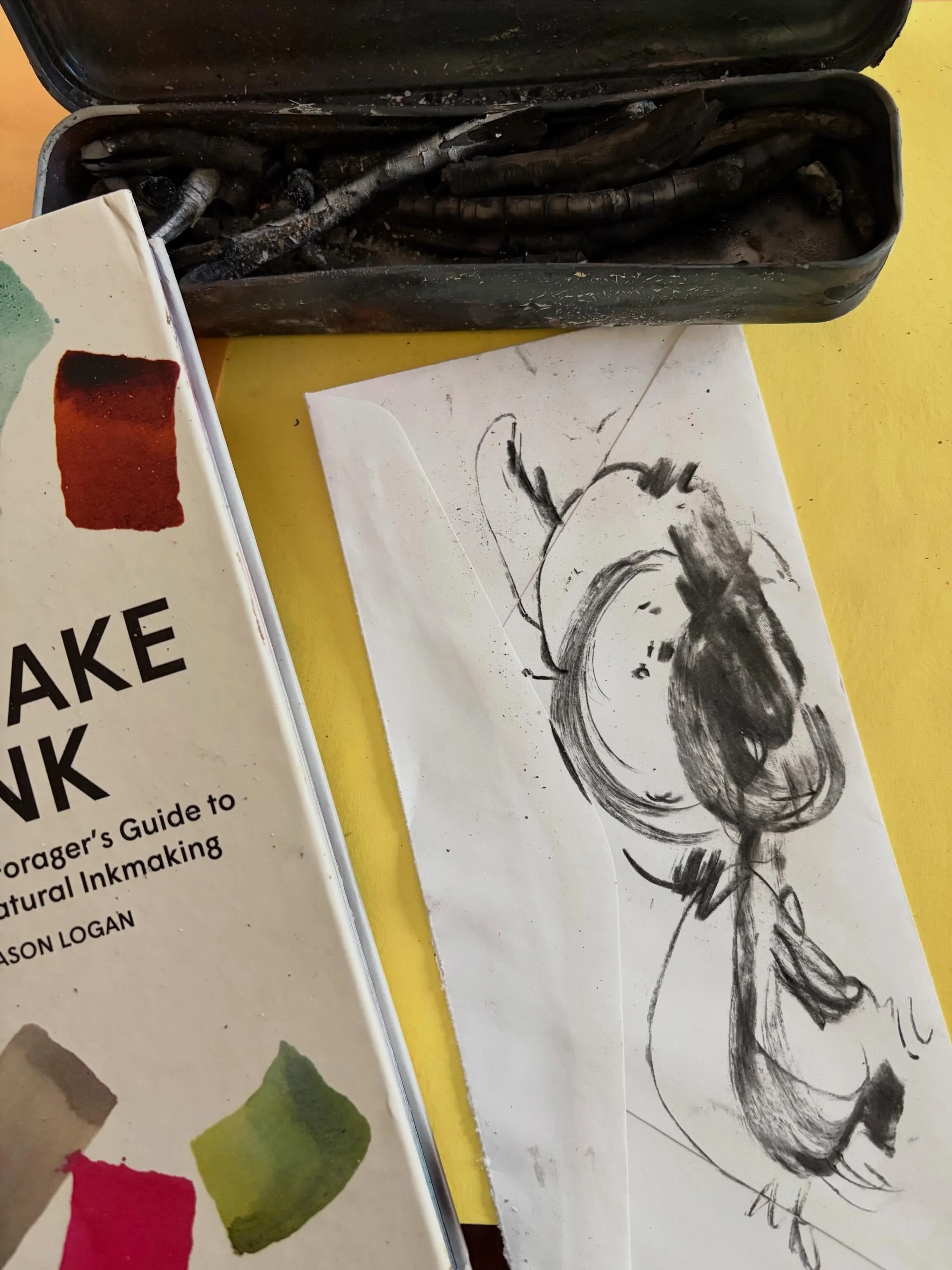 I made willow charcoal today! I still have some finessing left to go but I love the velvety black marks. The crumbly pieces will get ground up to make ink. Happy-happy!