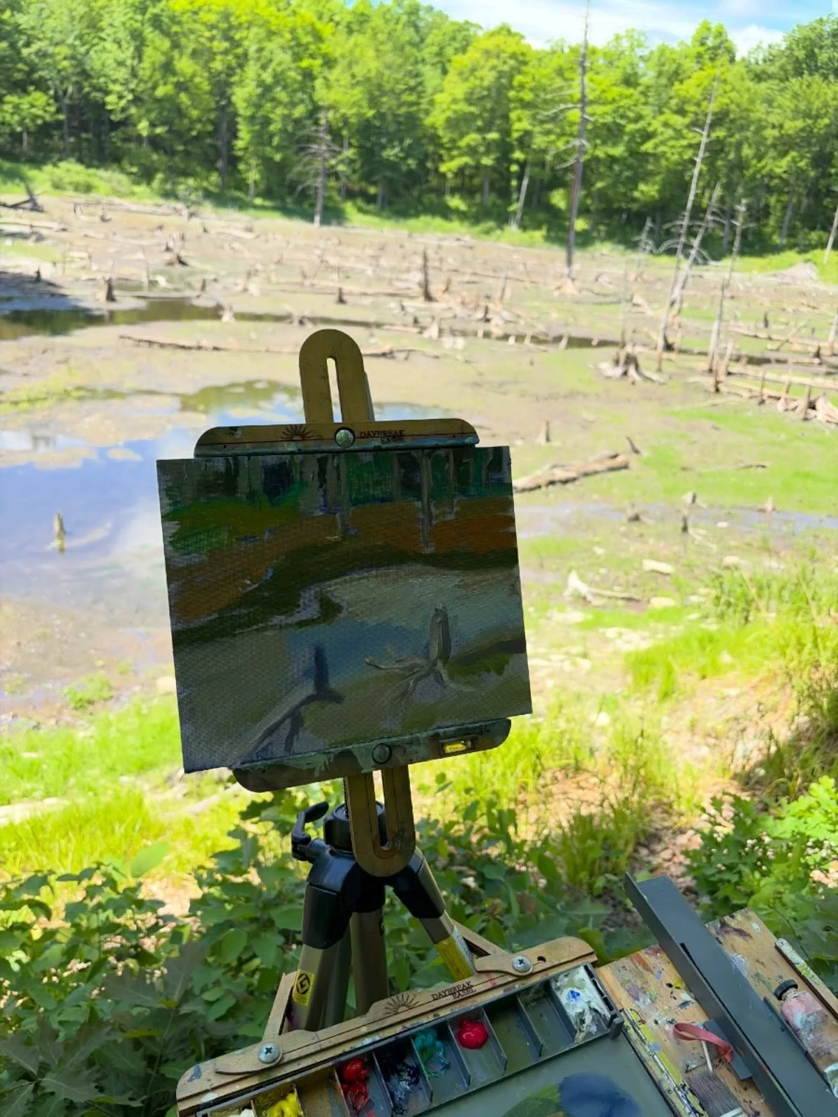 Sunday morning I took a short but taxing hike to paint the beaver pond on the back side of Gannett Hill in South Bristol. So sad to see the dam had burst last month in heavy rains and all that is left is mudflats. I hope it is rebuilt in time. And th