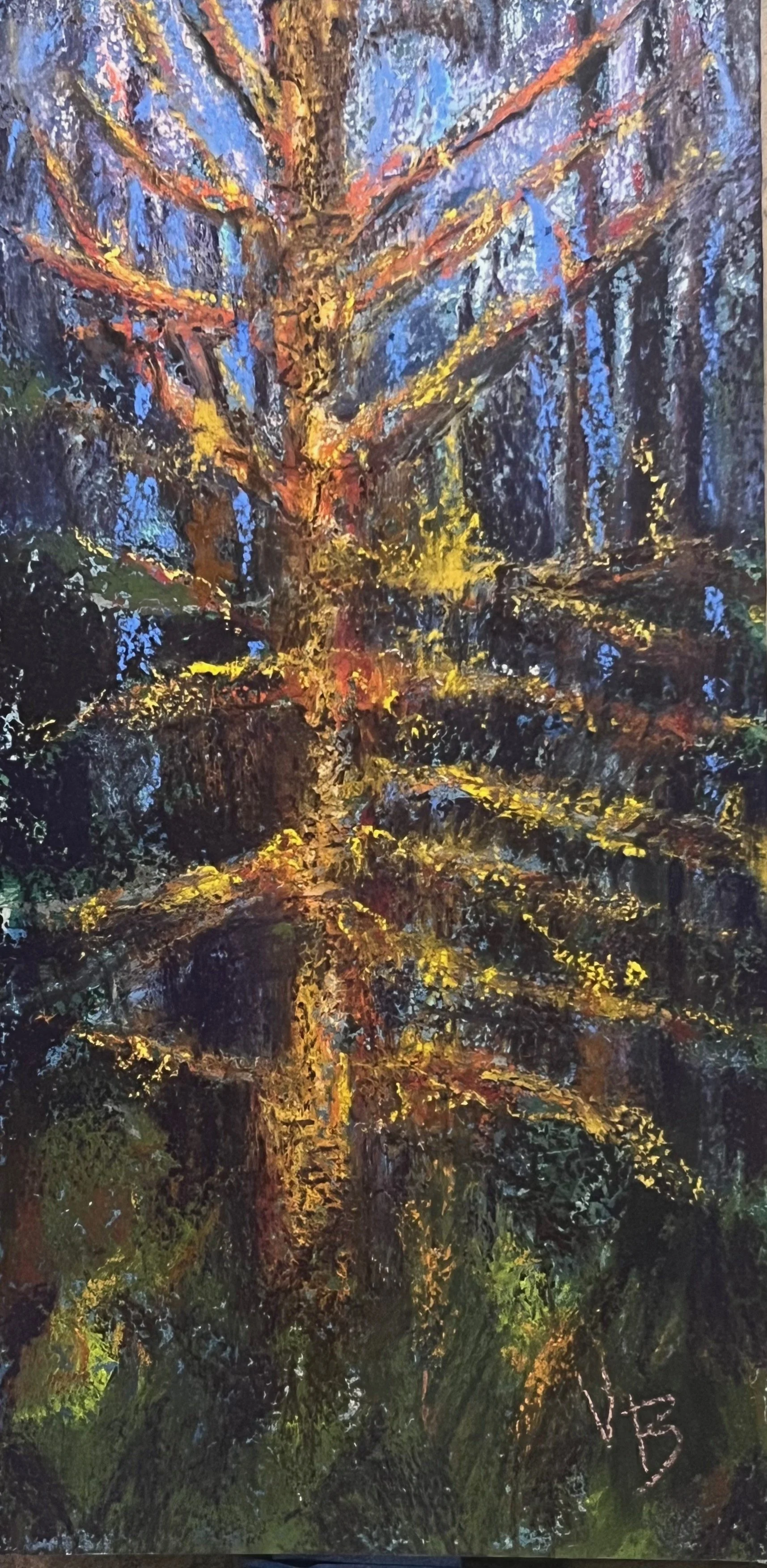 Standing Deadwood 6 x 12.jpeg