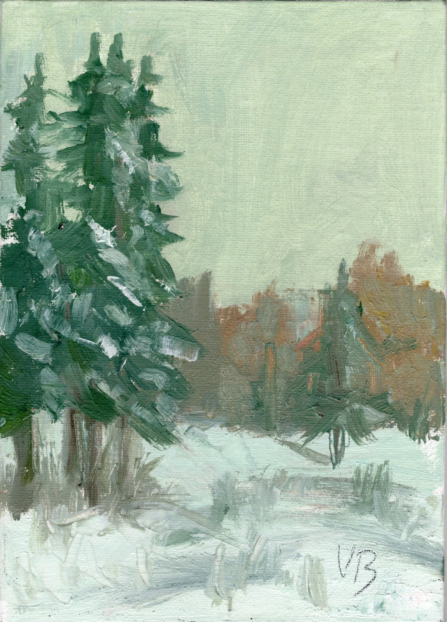 Shadow Pines Trees.jpg