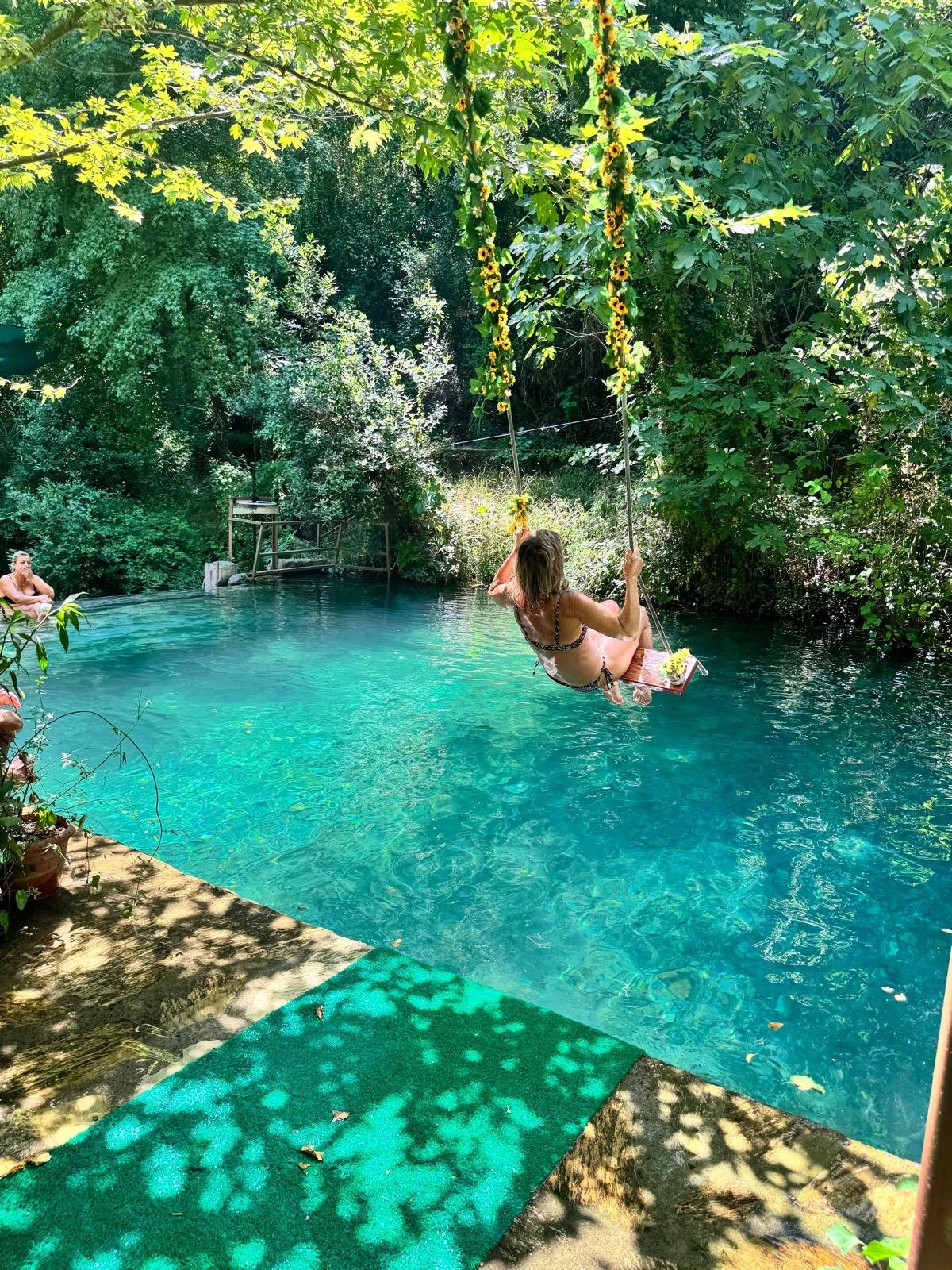 turkey_swing.jpg