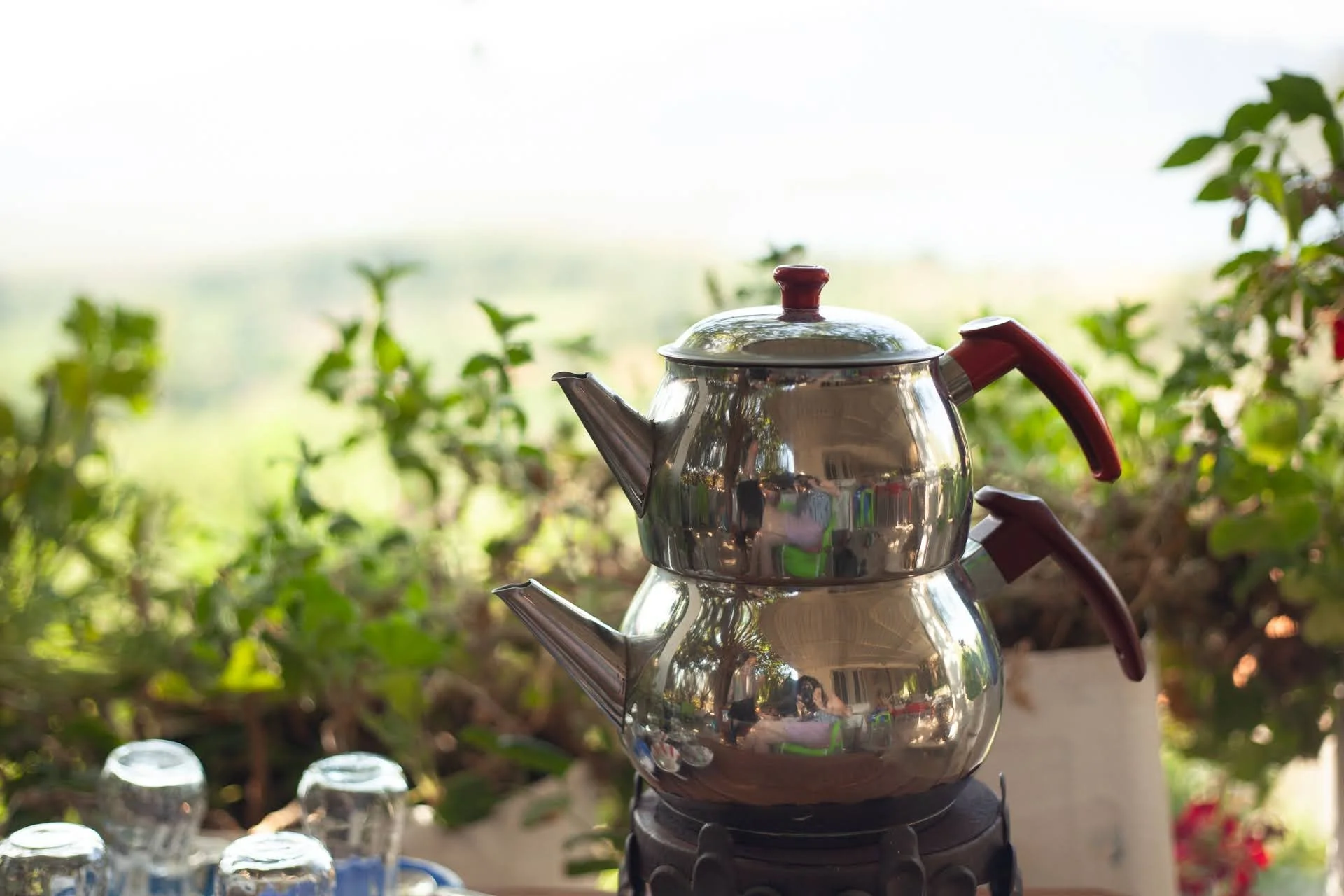 turkey_teapot.jpg