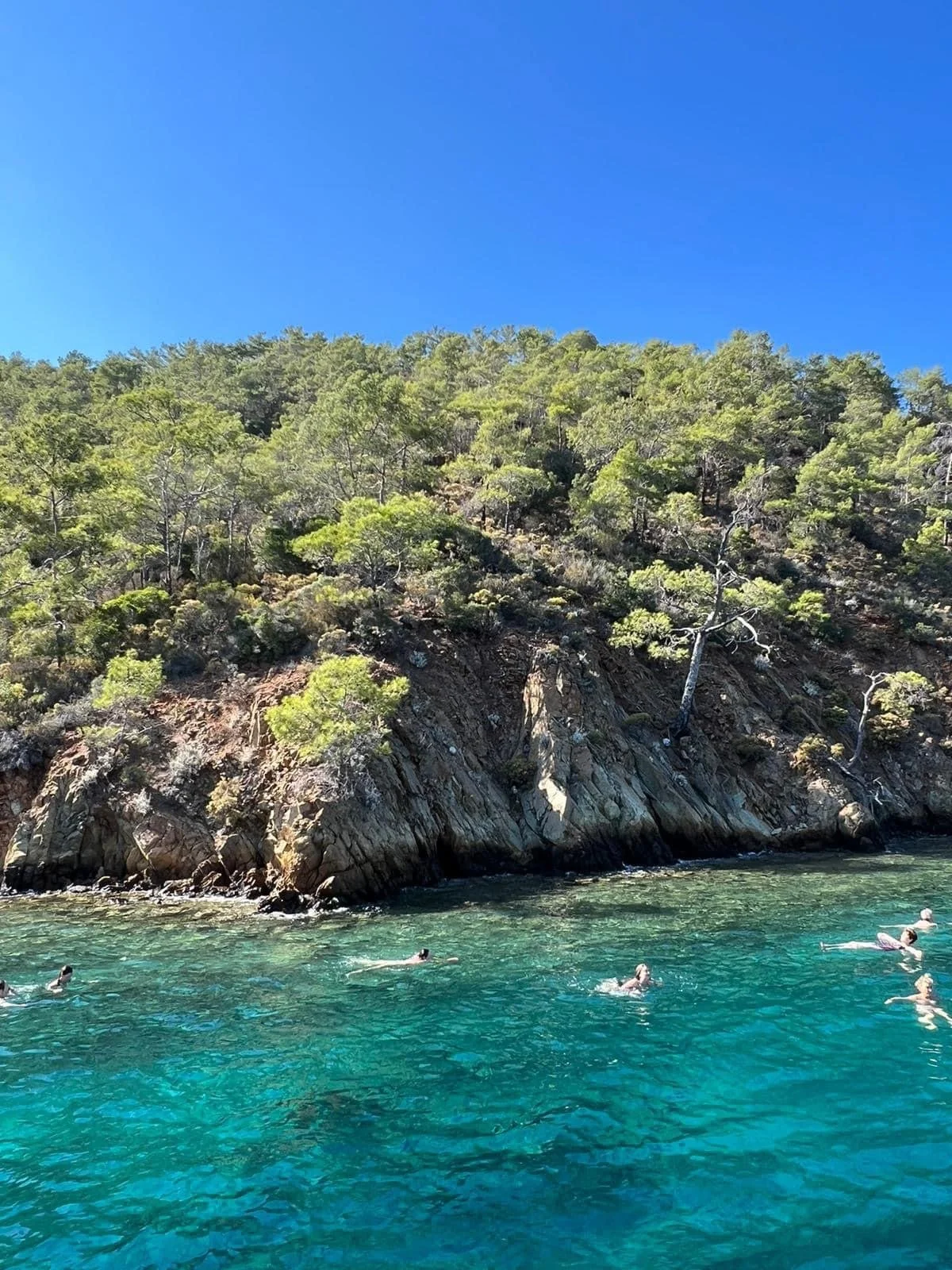 swim_turkey.jpg