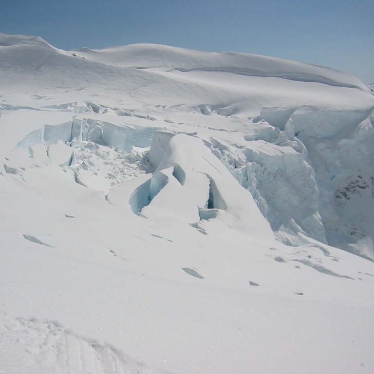 botwb037.jpg