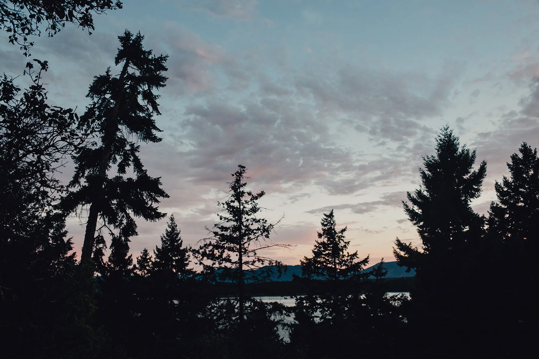 bodega-ridge-wedding-photos-0115.jpg