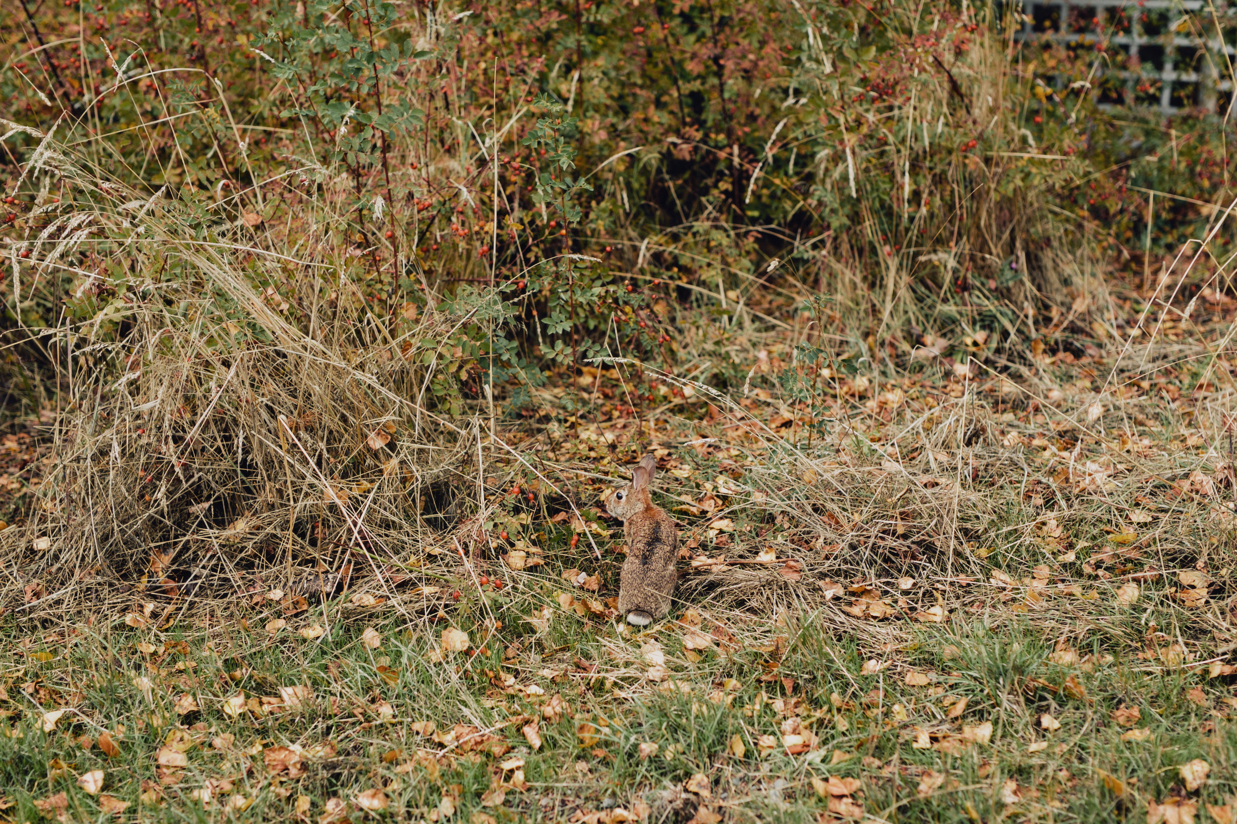 New-Years-2016-0144.jpg