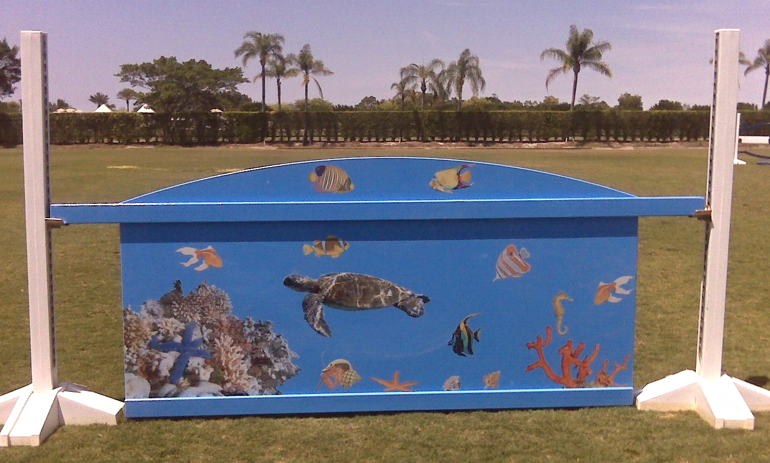 aquarium wall.jpg