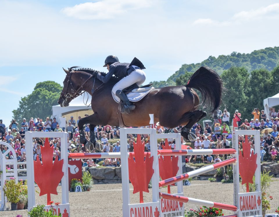 InternationalBromont2016_CreditTomvonkapHerr-960x750.jpeg