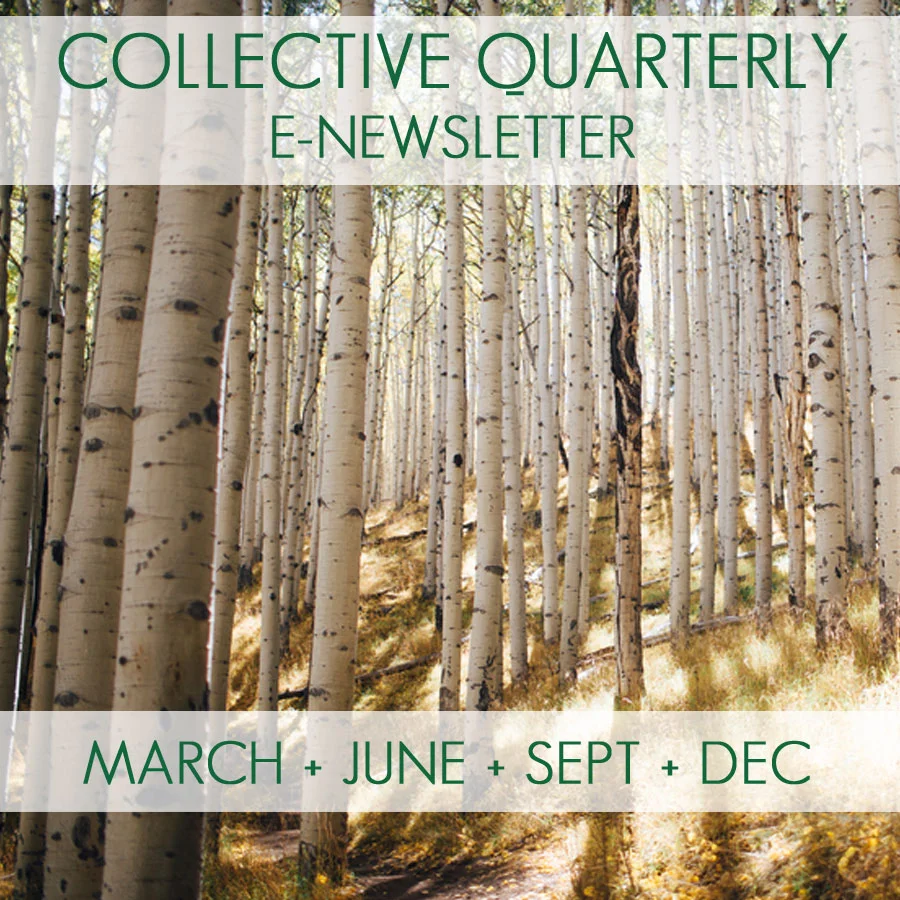 BLOG WRITING & COLLECTIVE QUARTERLY - Contribute to the Collective Quarterly e-newsletter. Published March, June, September, December. - Went to a TSC event? Write about it and submit it for publication on our blog!