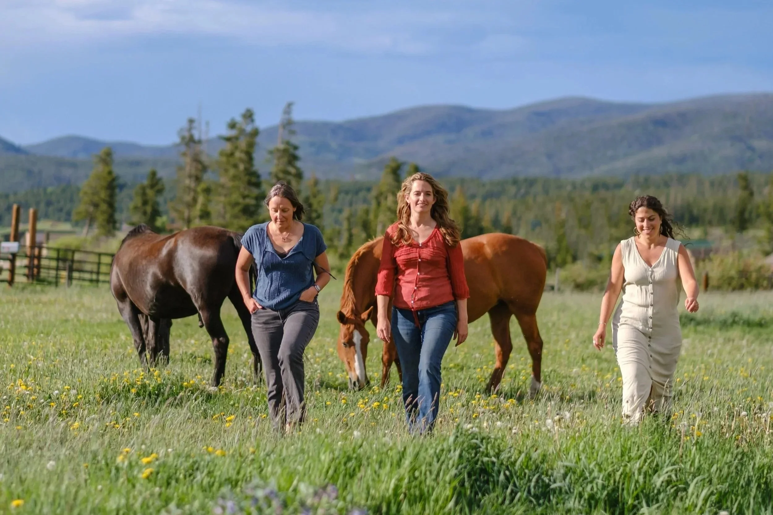 Synergy Collective: Counseling + Wellness