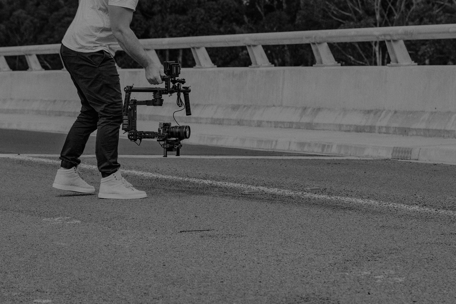 BG Ronin BnW.jpg