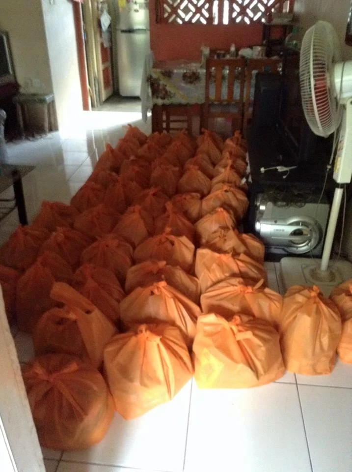 CHP Bagged Groceries.jpg