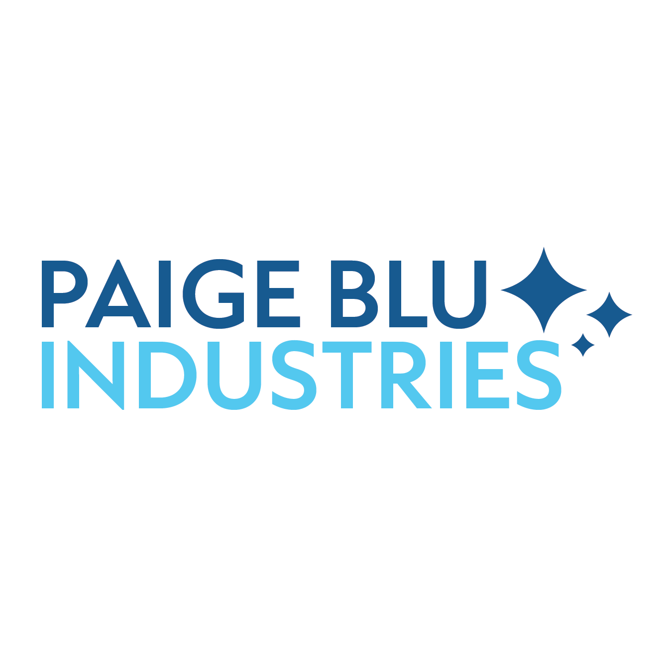Paige Blue Shine Circular Logo.png