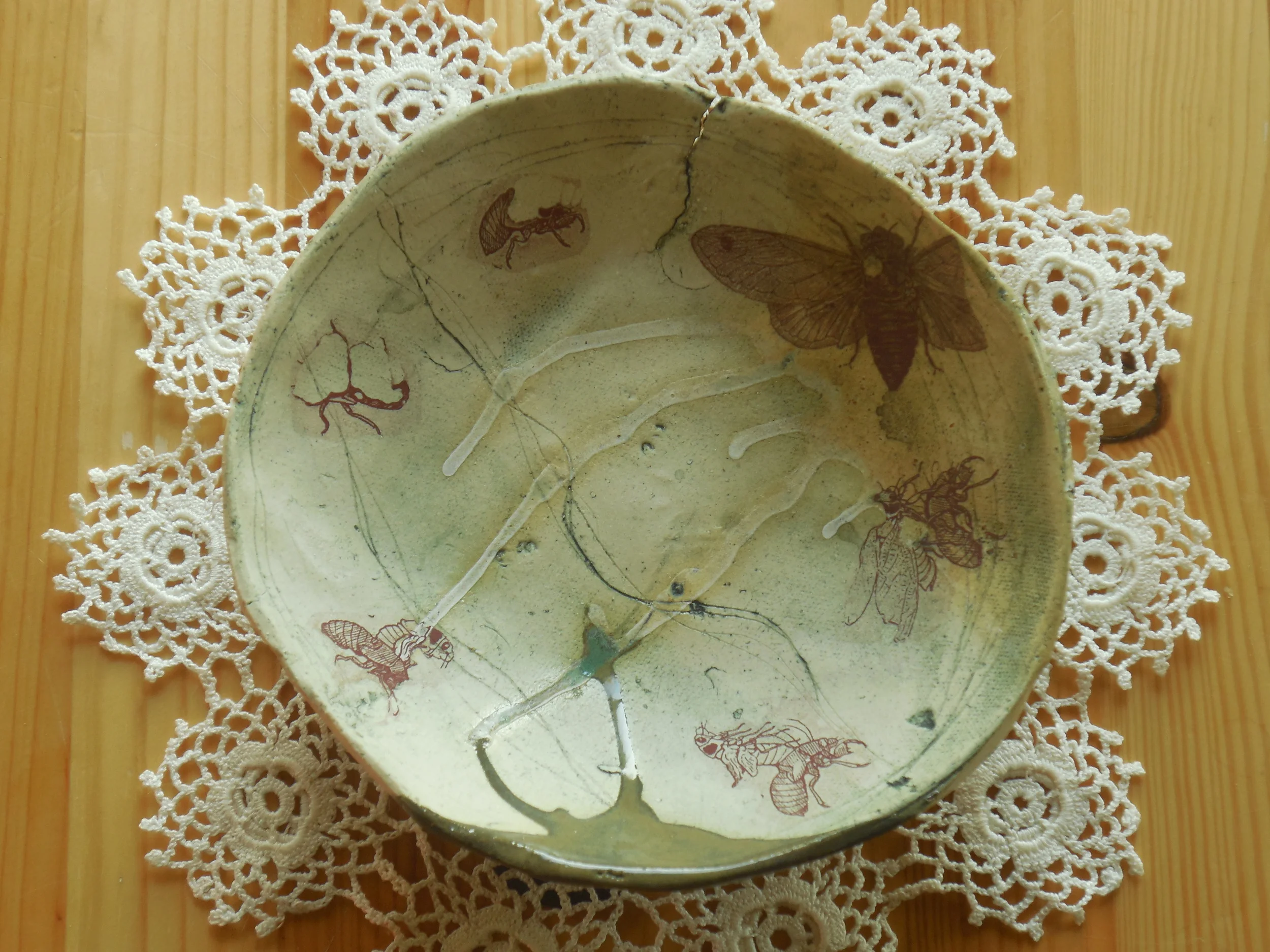 DSCN0520.JPG
