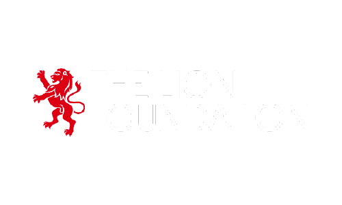 TheLionFoundation.png