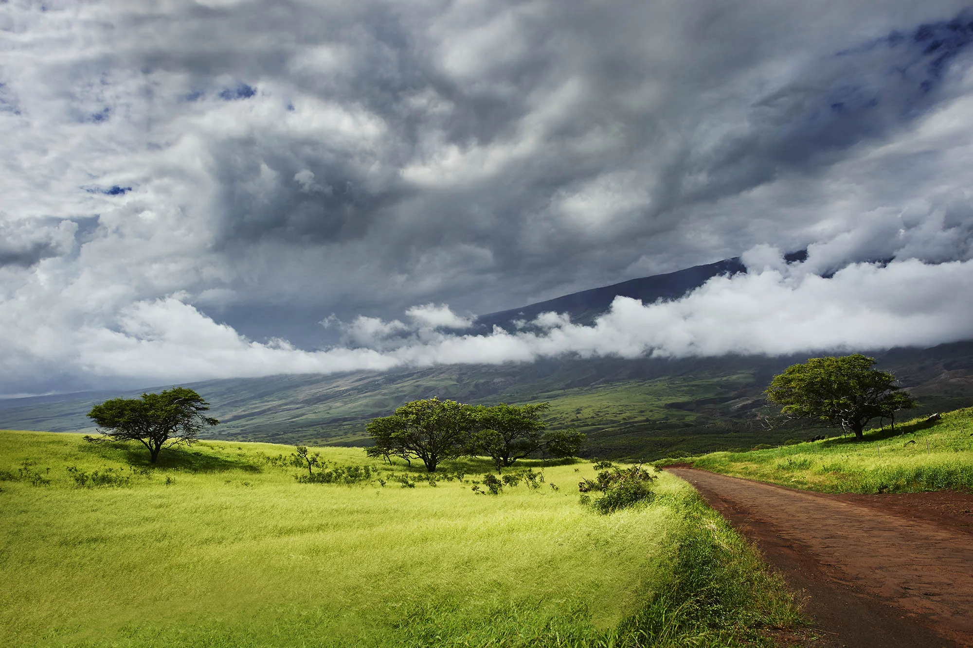 Maui Locations Scout, eyes felt photoshopped