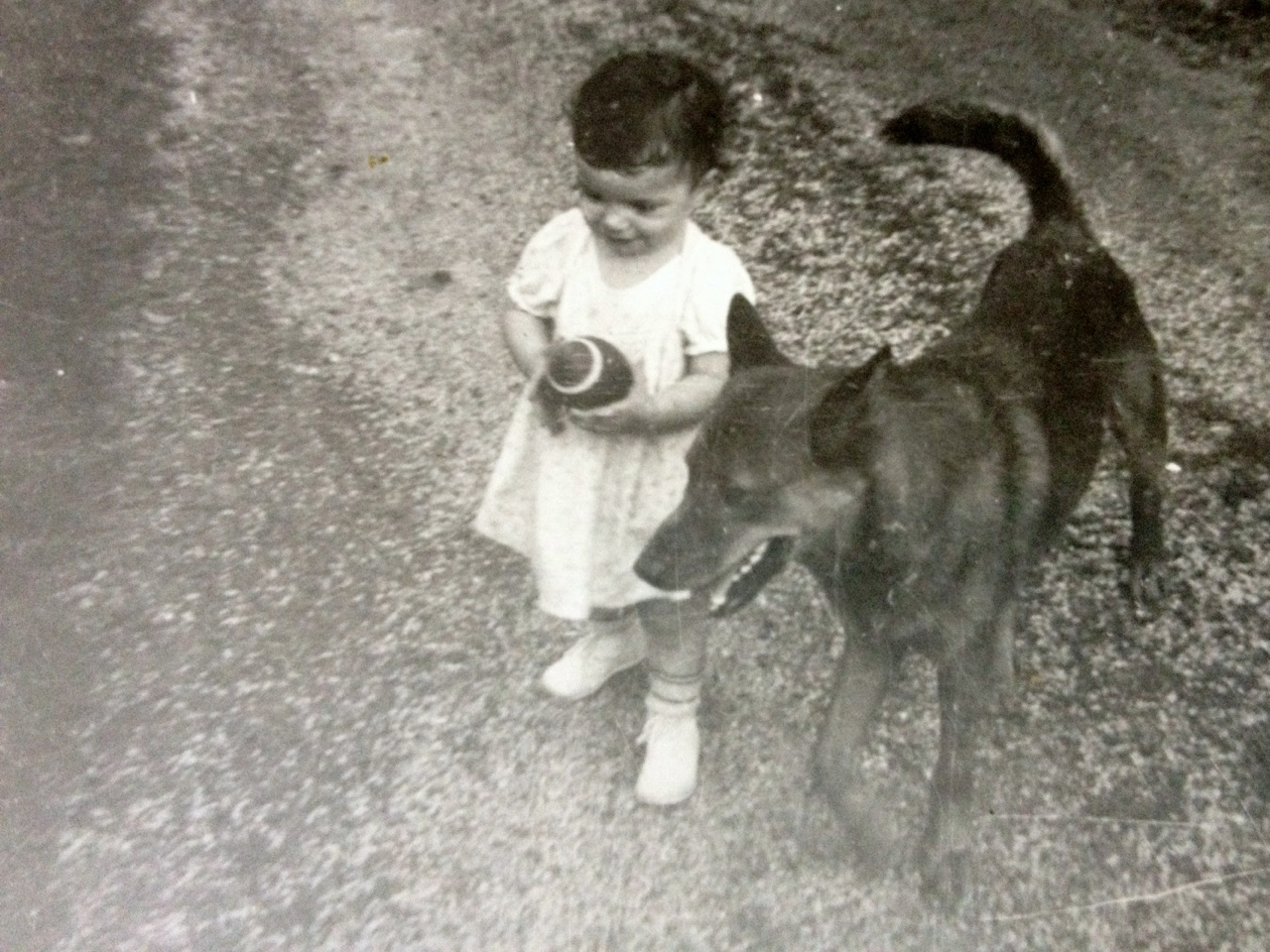 Norah and Husky