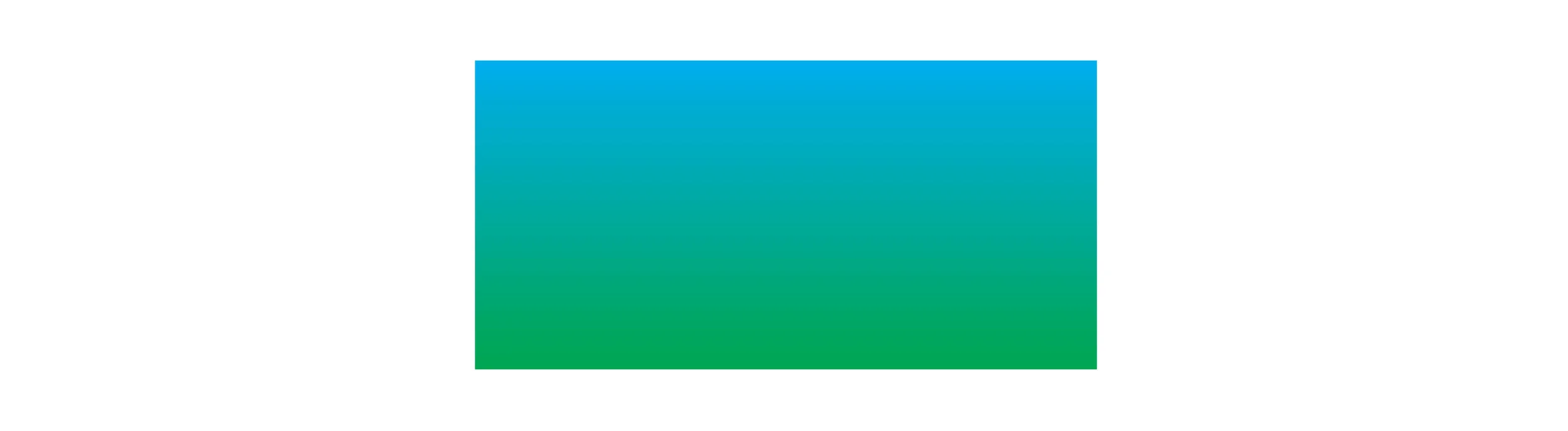 Option 1 Colors
