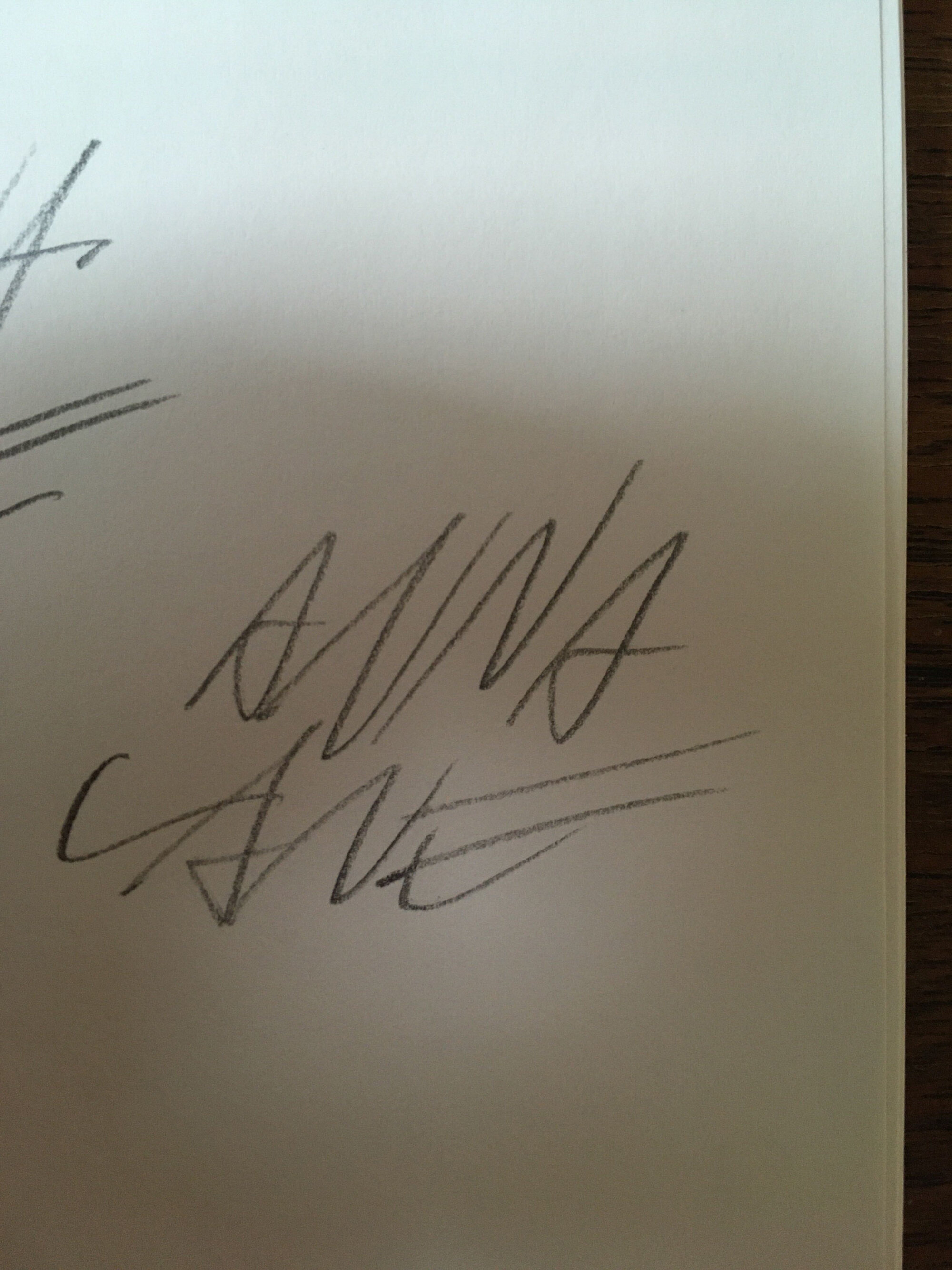 Anna Lane signature.jpg