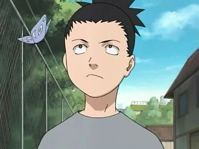Littleshika.jpg