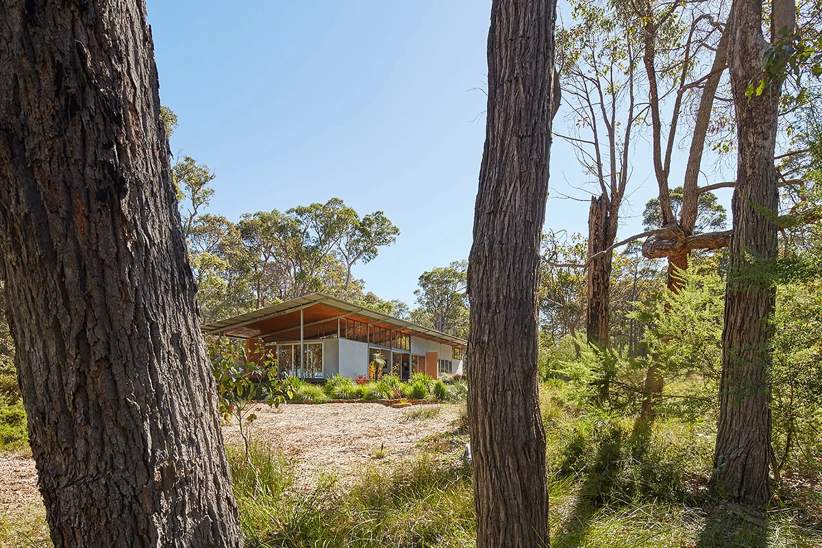bushhouse3423_web.jpg