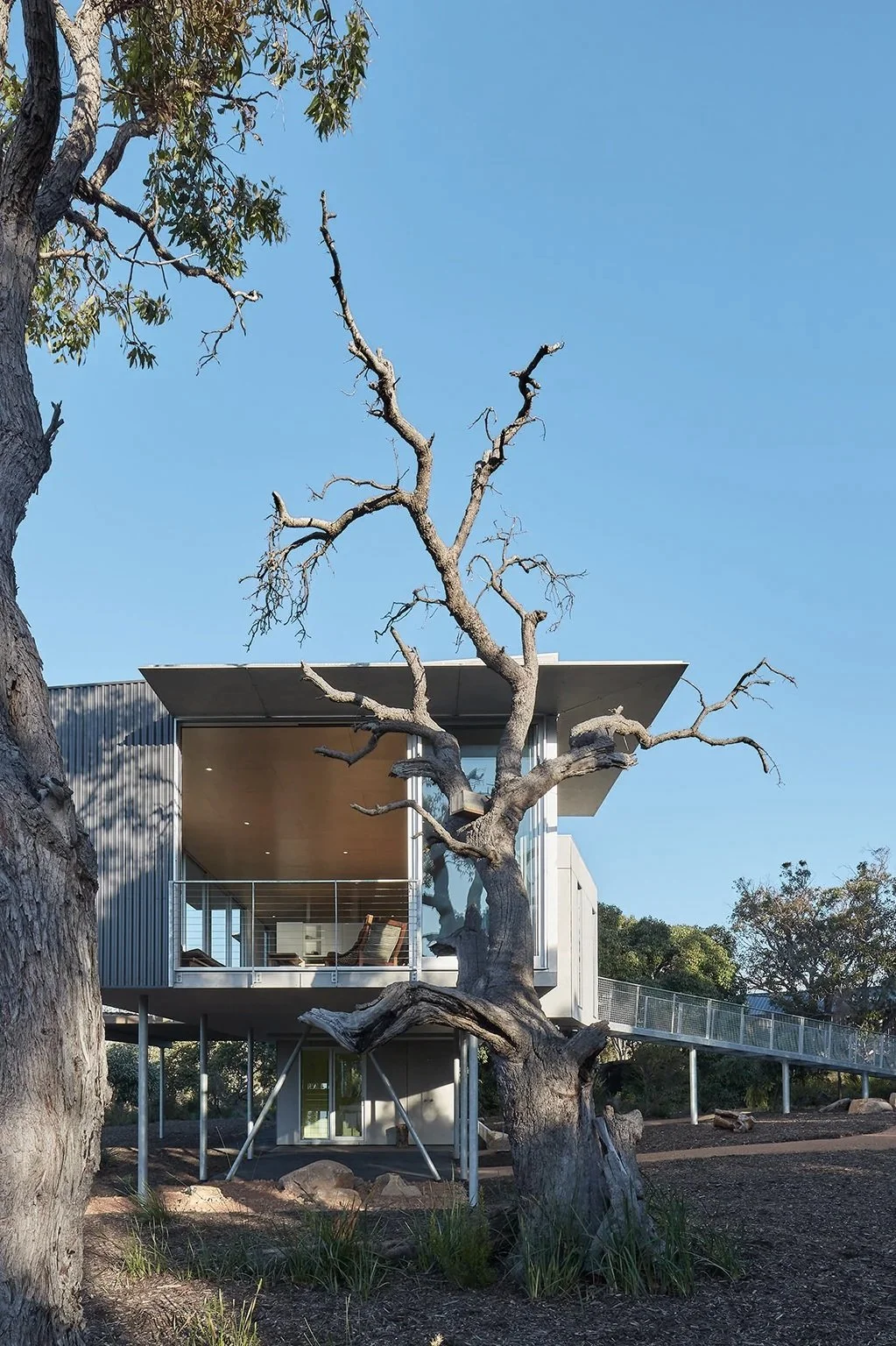 wilderness_house31038FIN_B_E.jpg