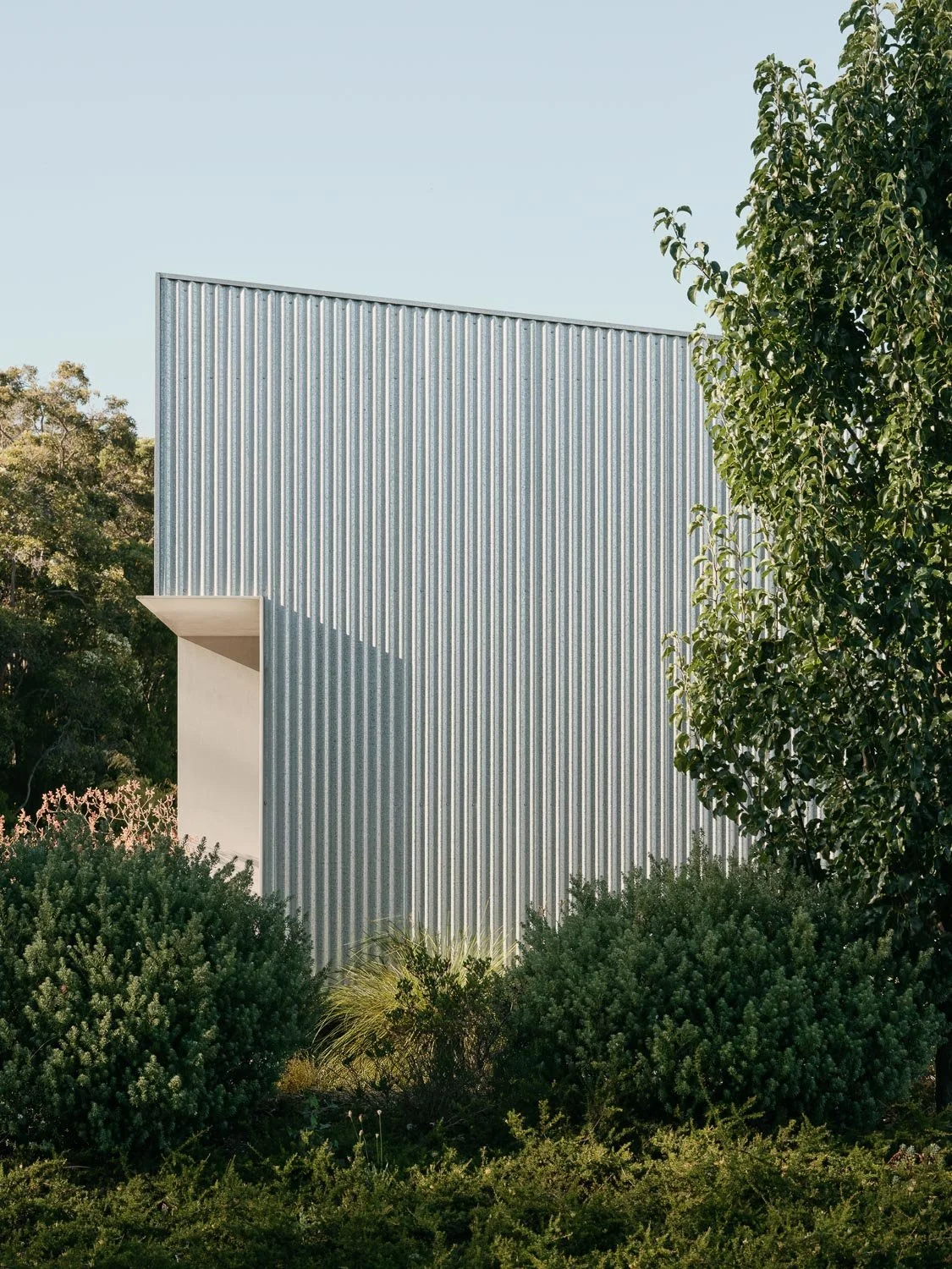 treesideweb (5 of 15).jpg
