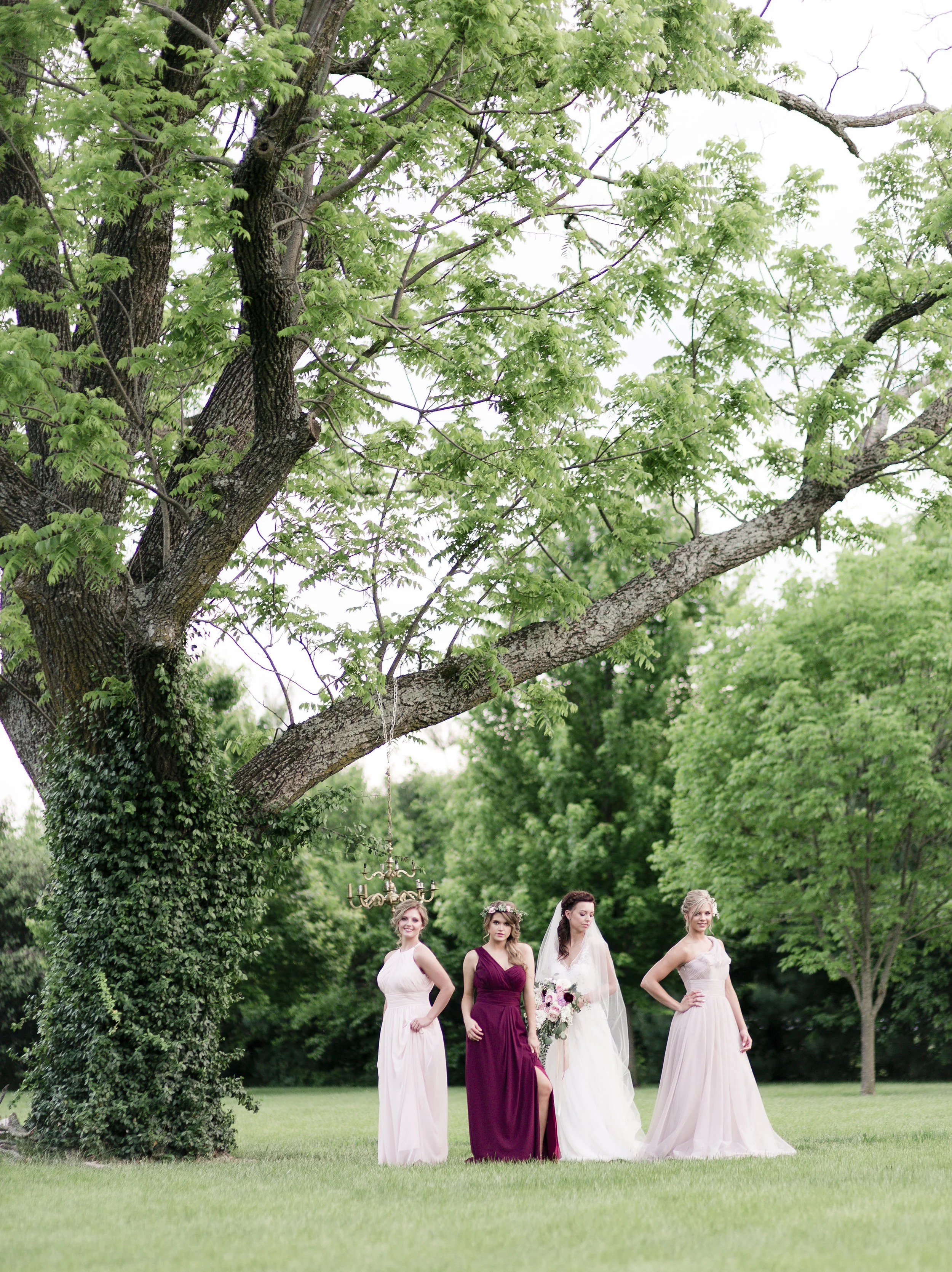 Photo Courtesy of Sheri Holloway Photography