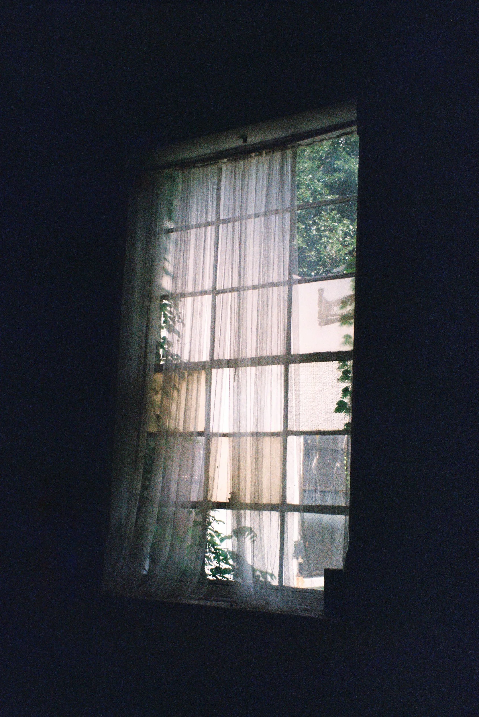 personal film for squarespace-5.jpg