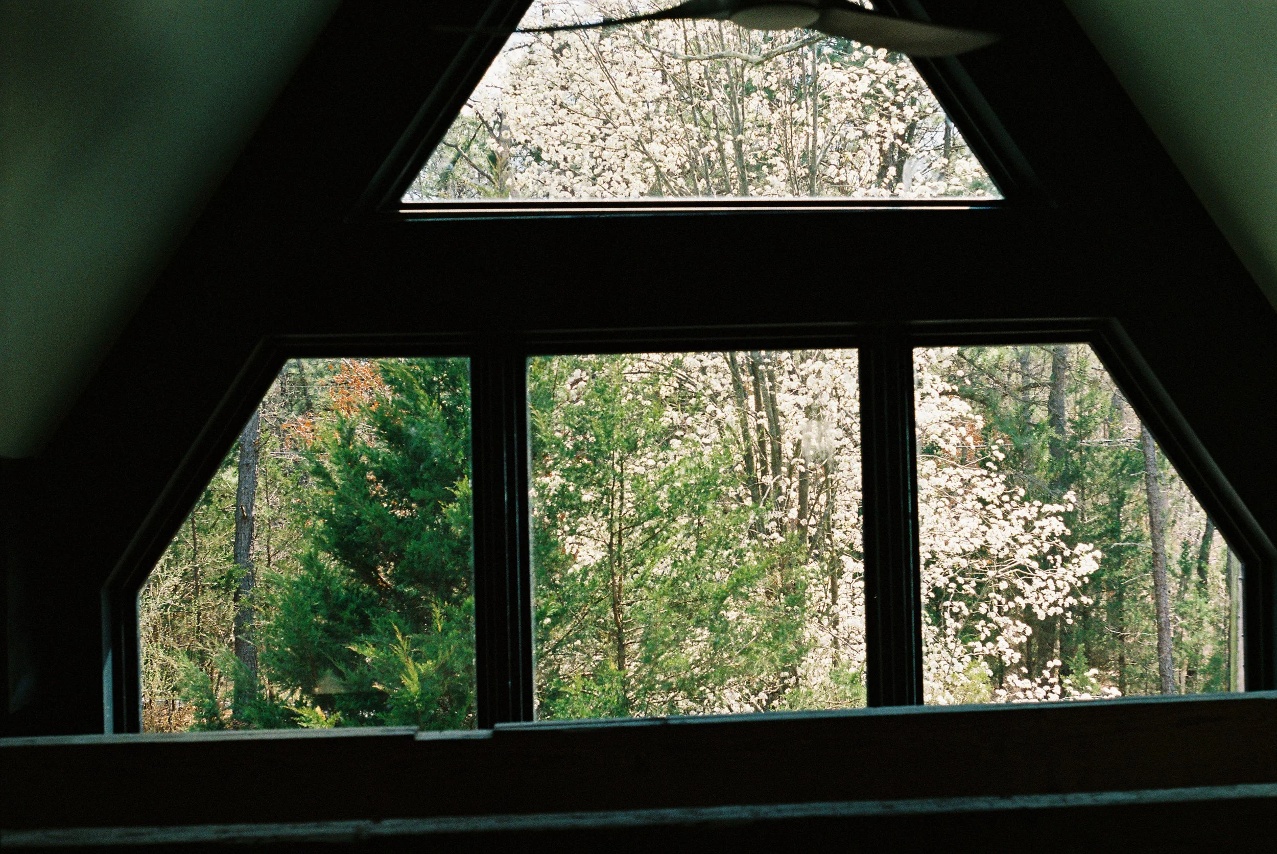 personal film for squarespace-44.jpg