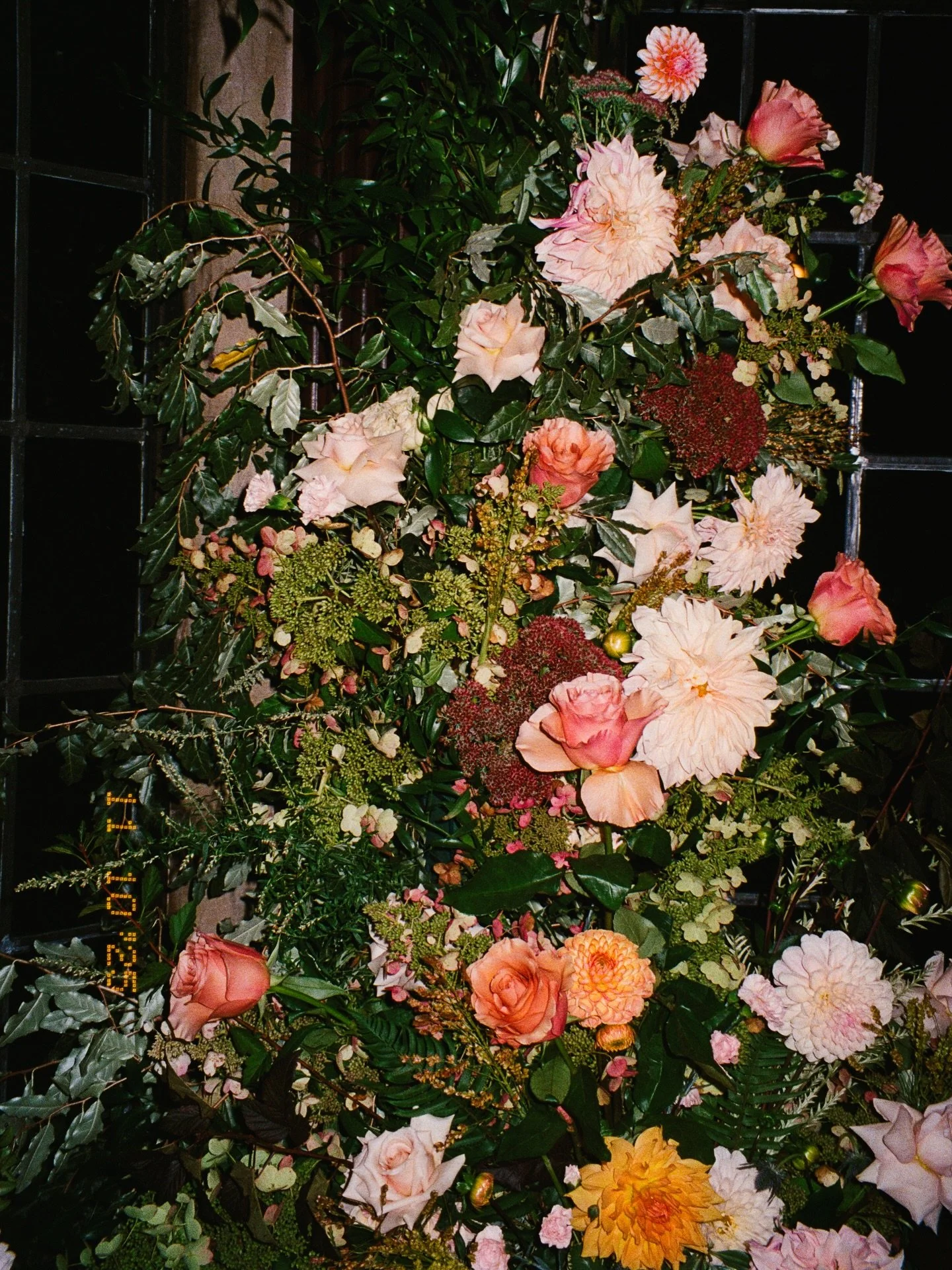 beauties from @mossandmeadowflowers for Erica &amp; Matt

.
.
.
#dahliasandroses #parqueridleycreek 
#philadelphiafilmweddingphotographer
