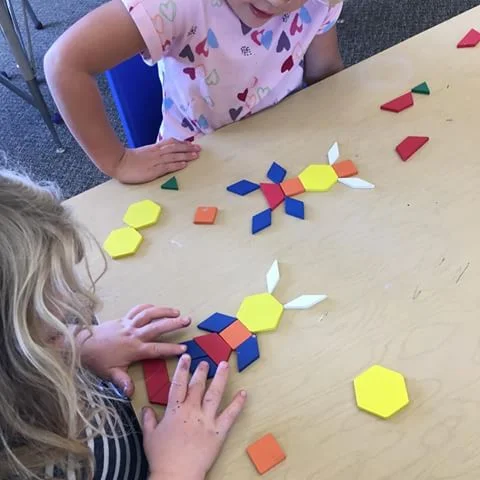16230034_290264988138931_8210309648251617280_n.jpg