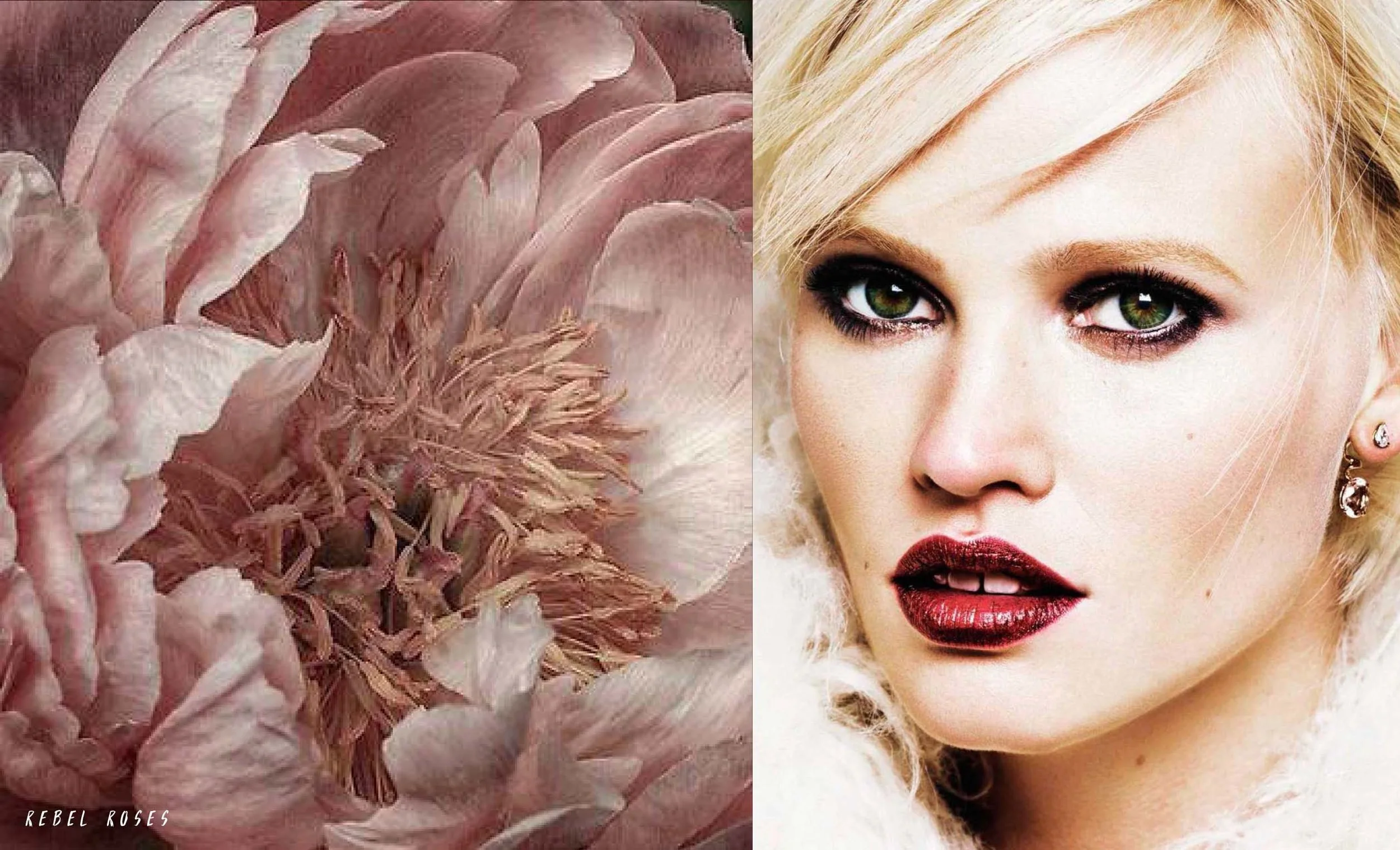 rimmel_RR_40.jpg