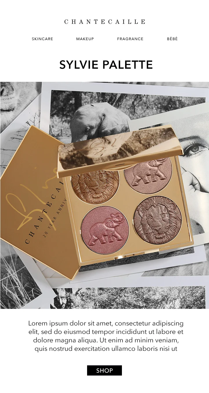 03.31.18_SYLVIE_PALETTE_E_BLAST.jpg