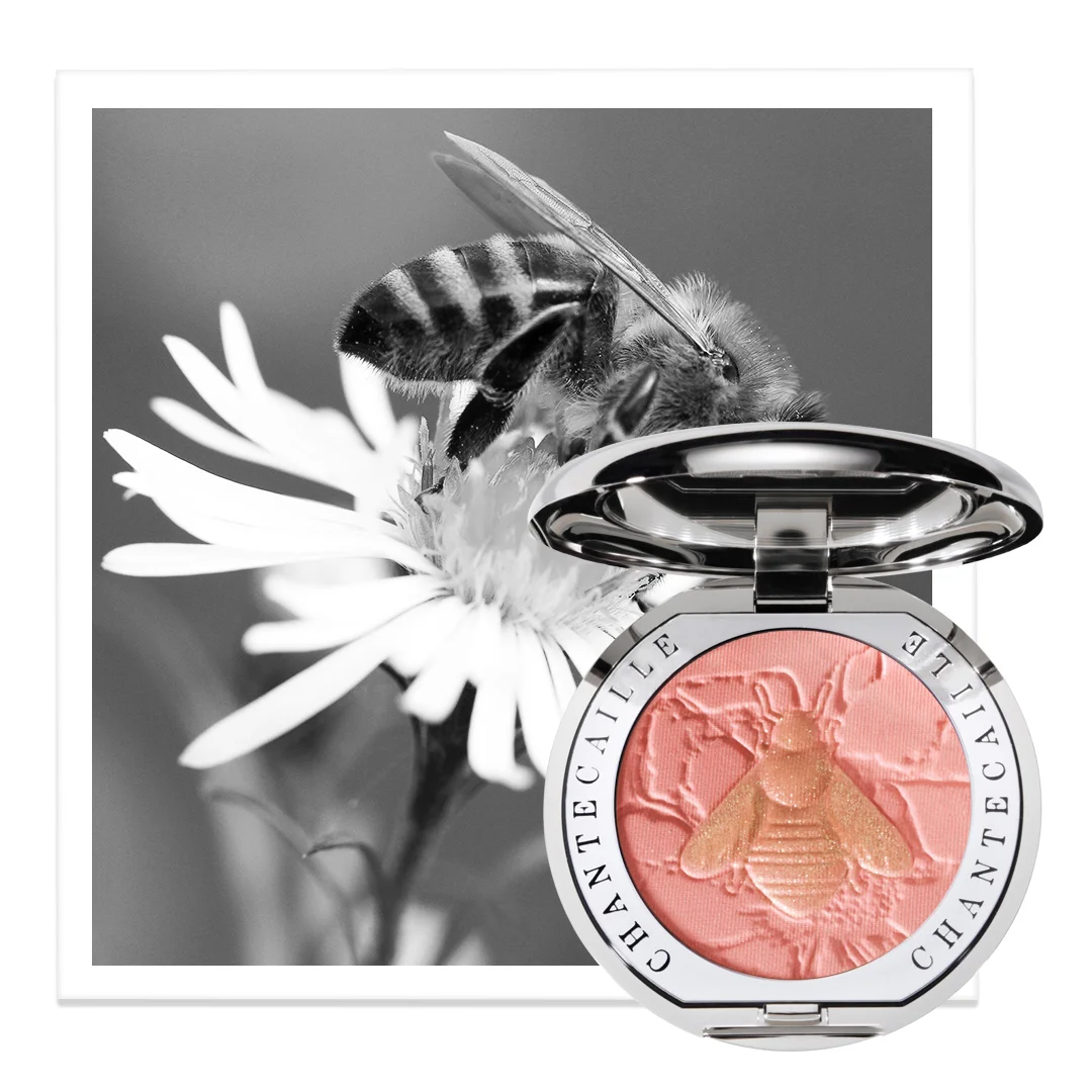 WEB_PHILANTHROPY_04Artboard 1 copy 2.jpg