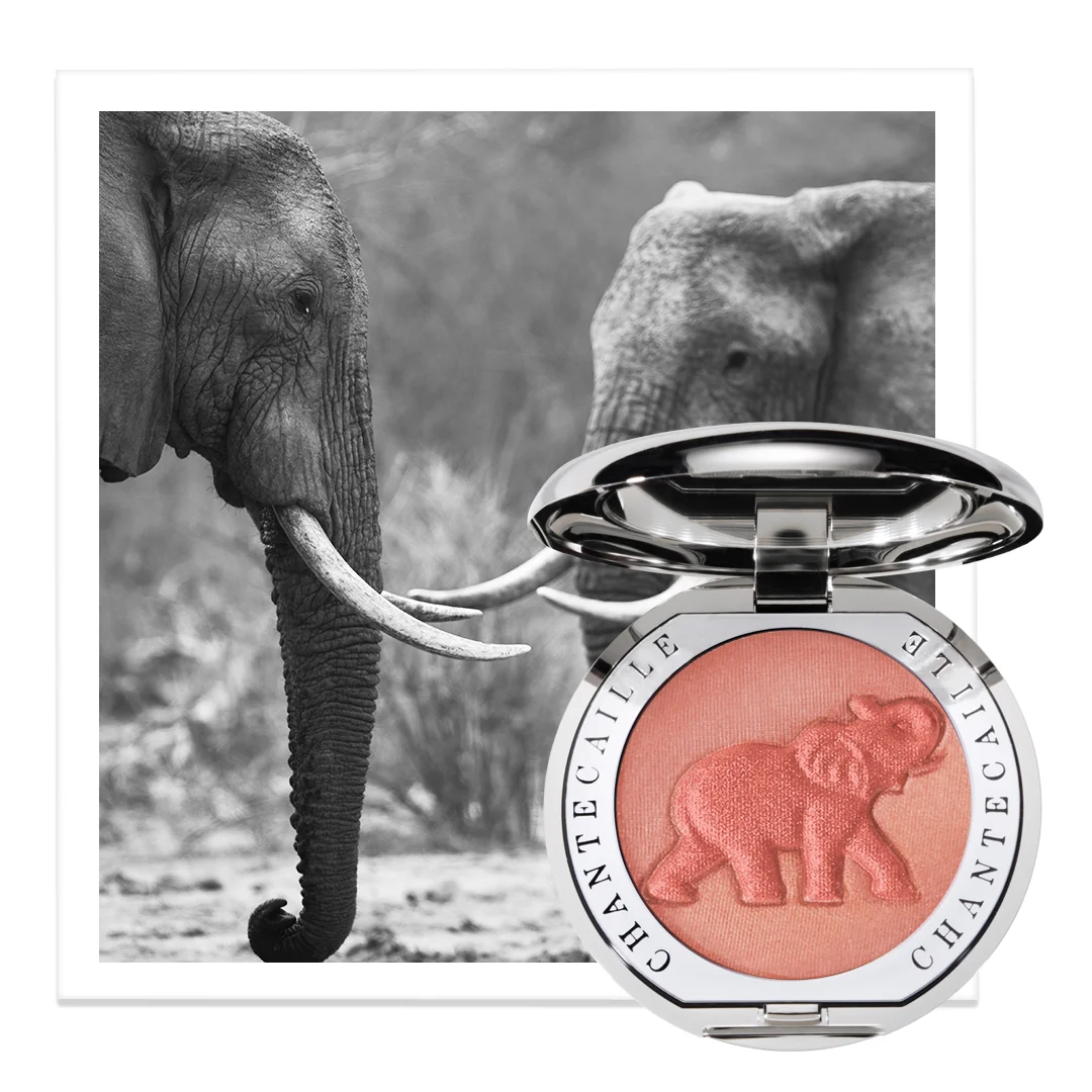 WEB_PHILANTHROPY_04Artboard 1 copy 5.jpg