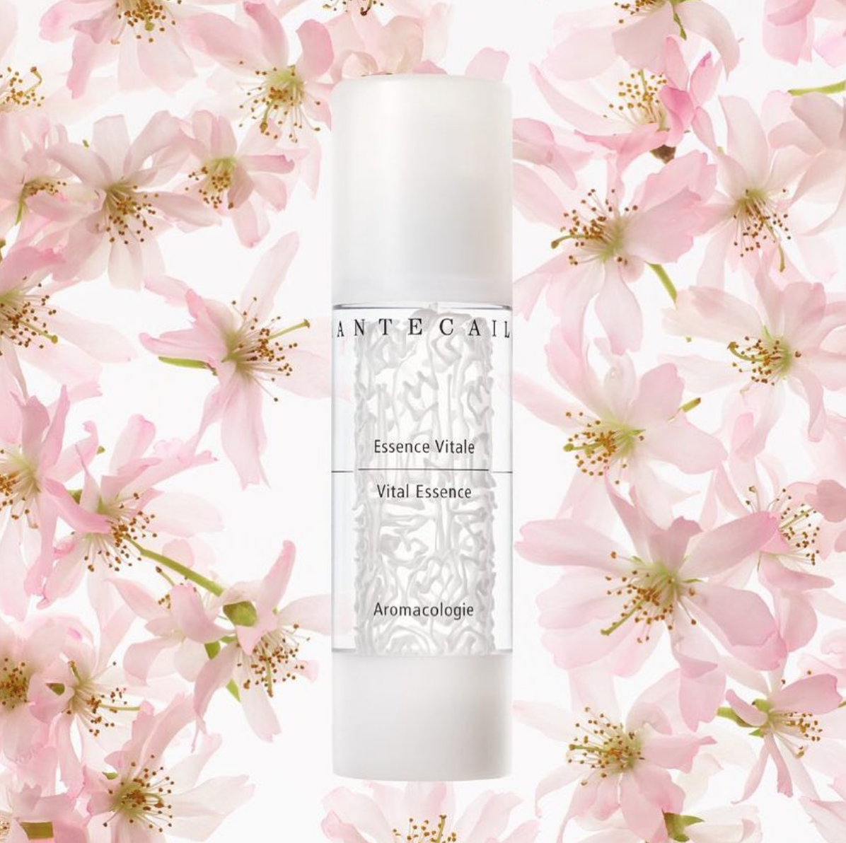 Screen Shot 2018-04-13 at 11.51.52 AM.png